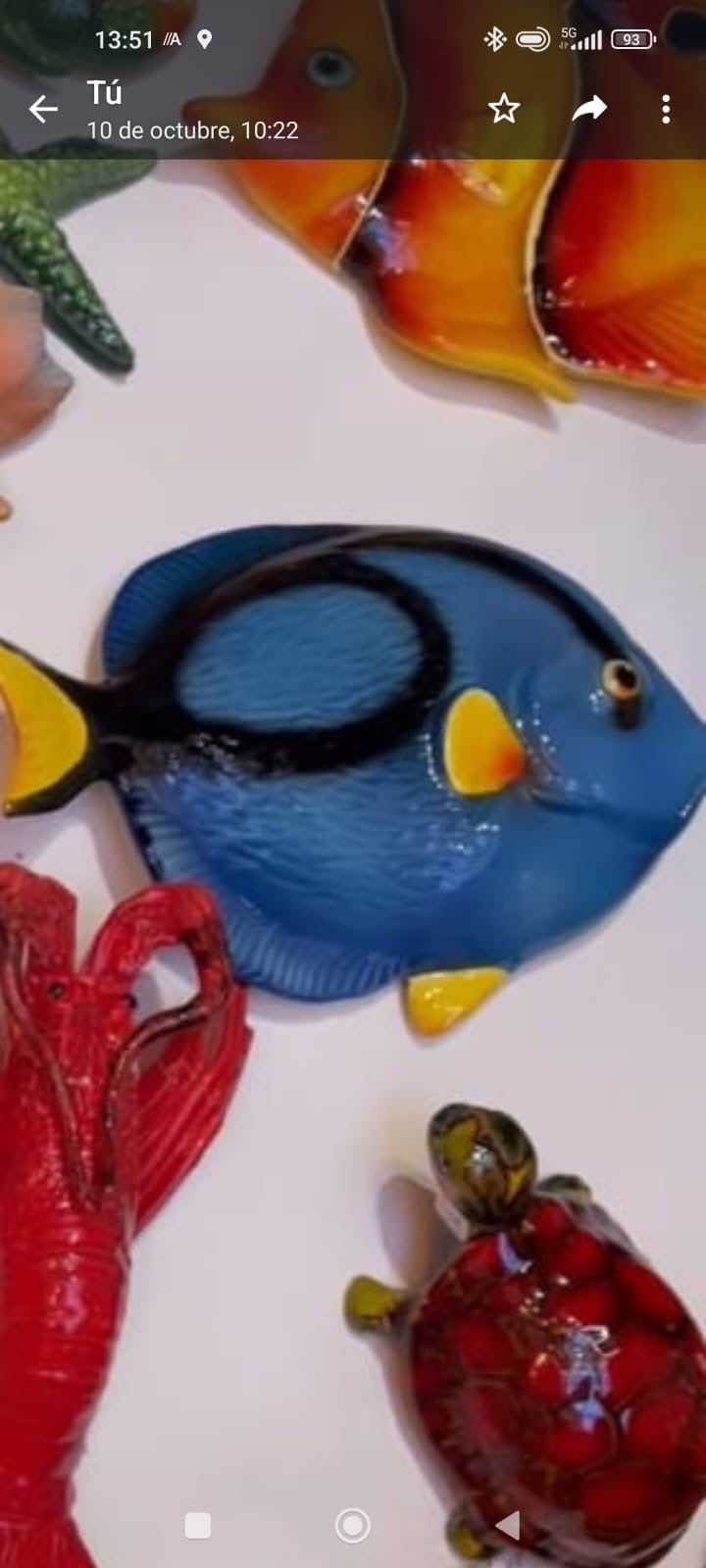 Pez Angelo grande