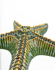 Estrella de mar gigante verde