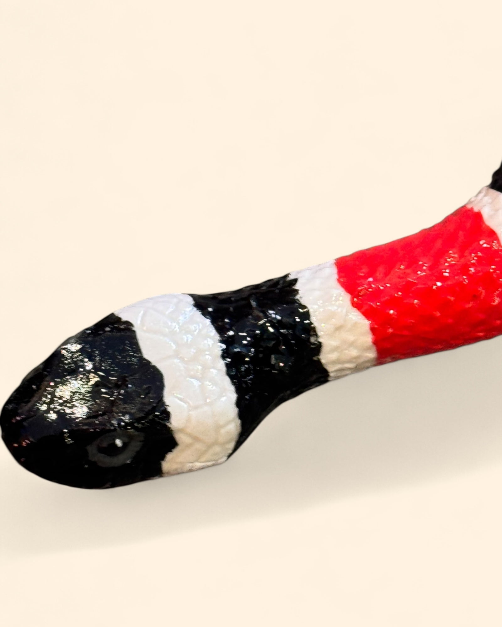 Serpiente Coral