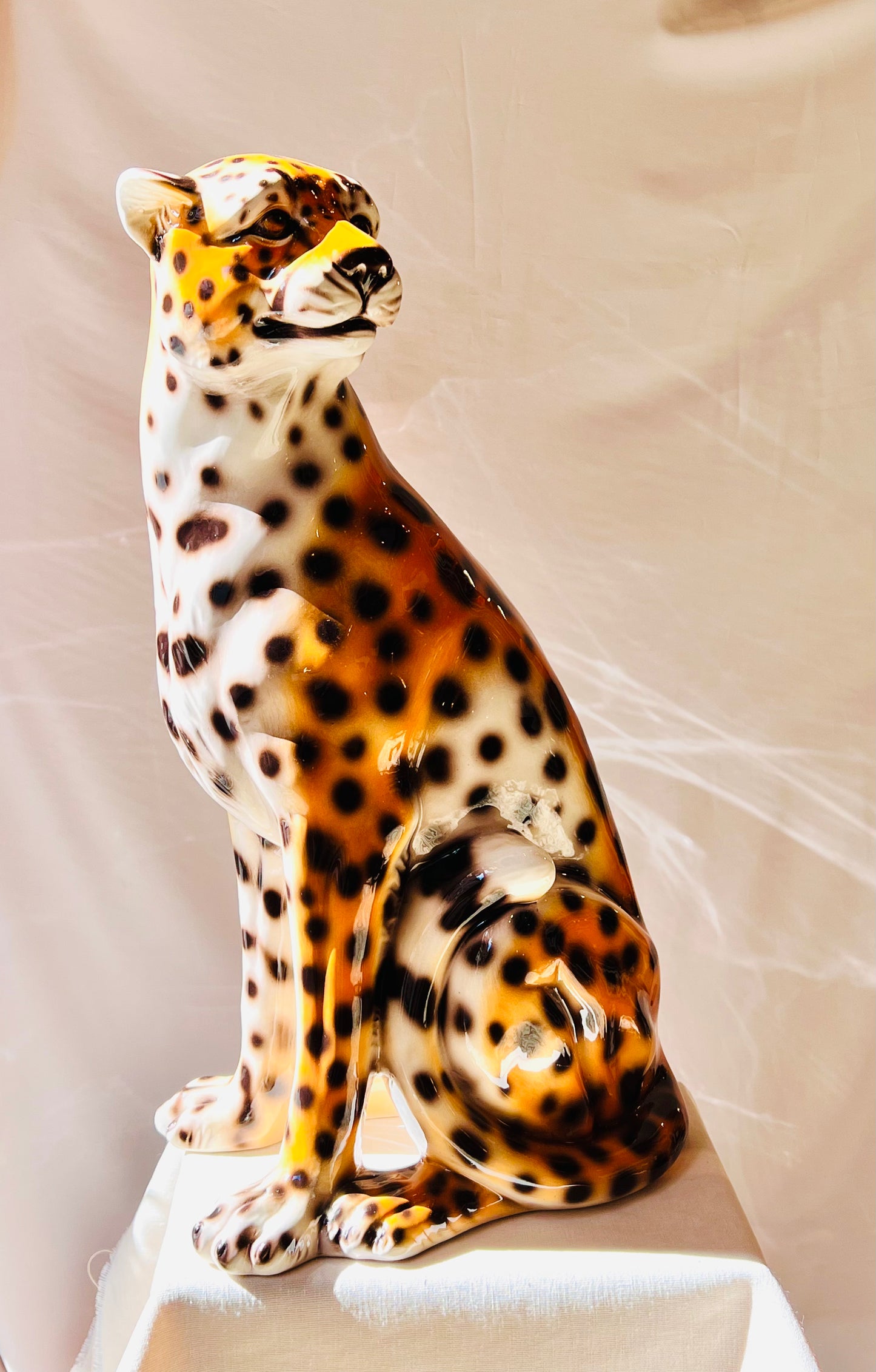 Guepardo 60cm