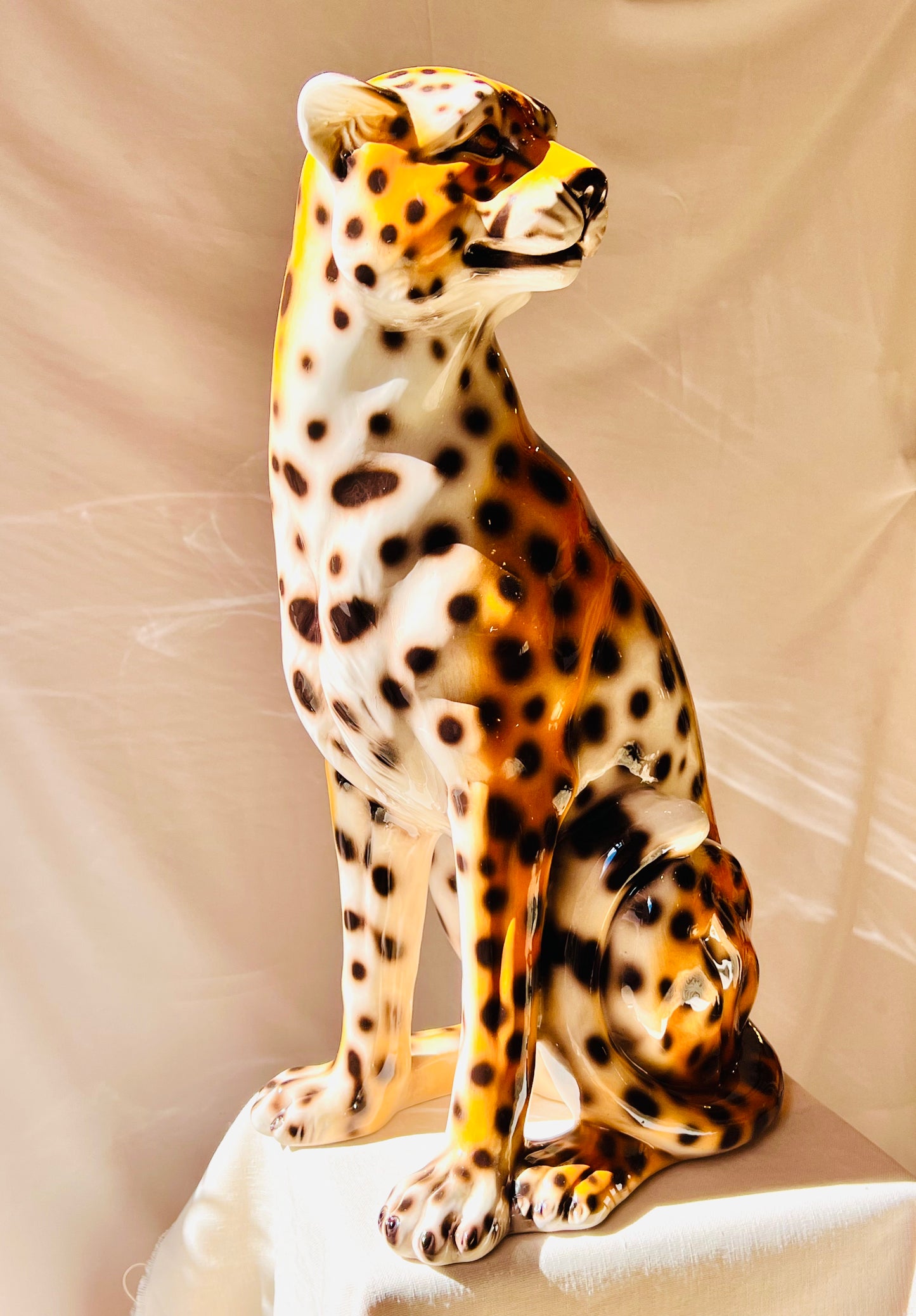 Guepardo 60cm