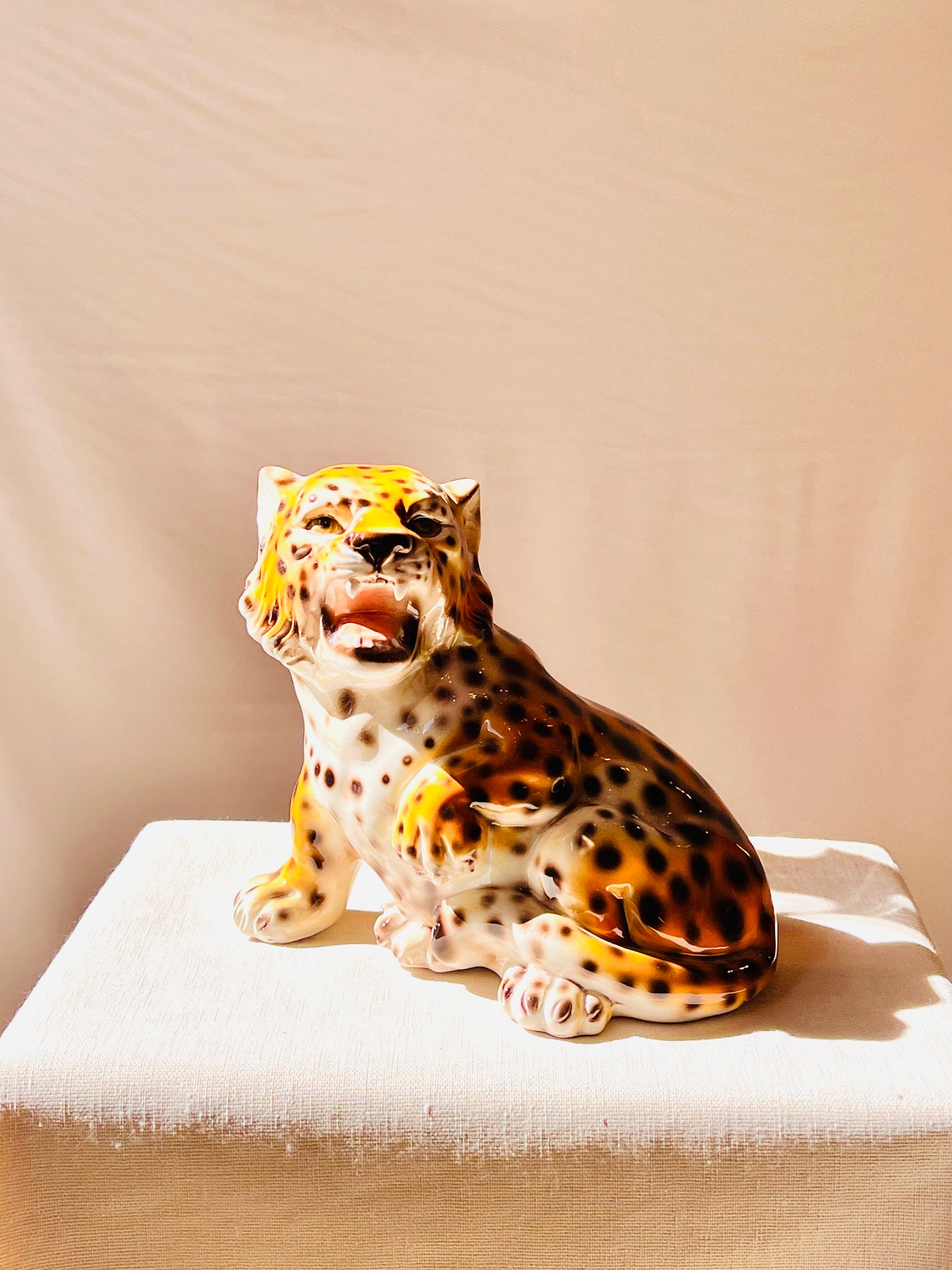 Leopardo baby rugiendo