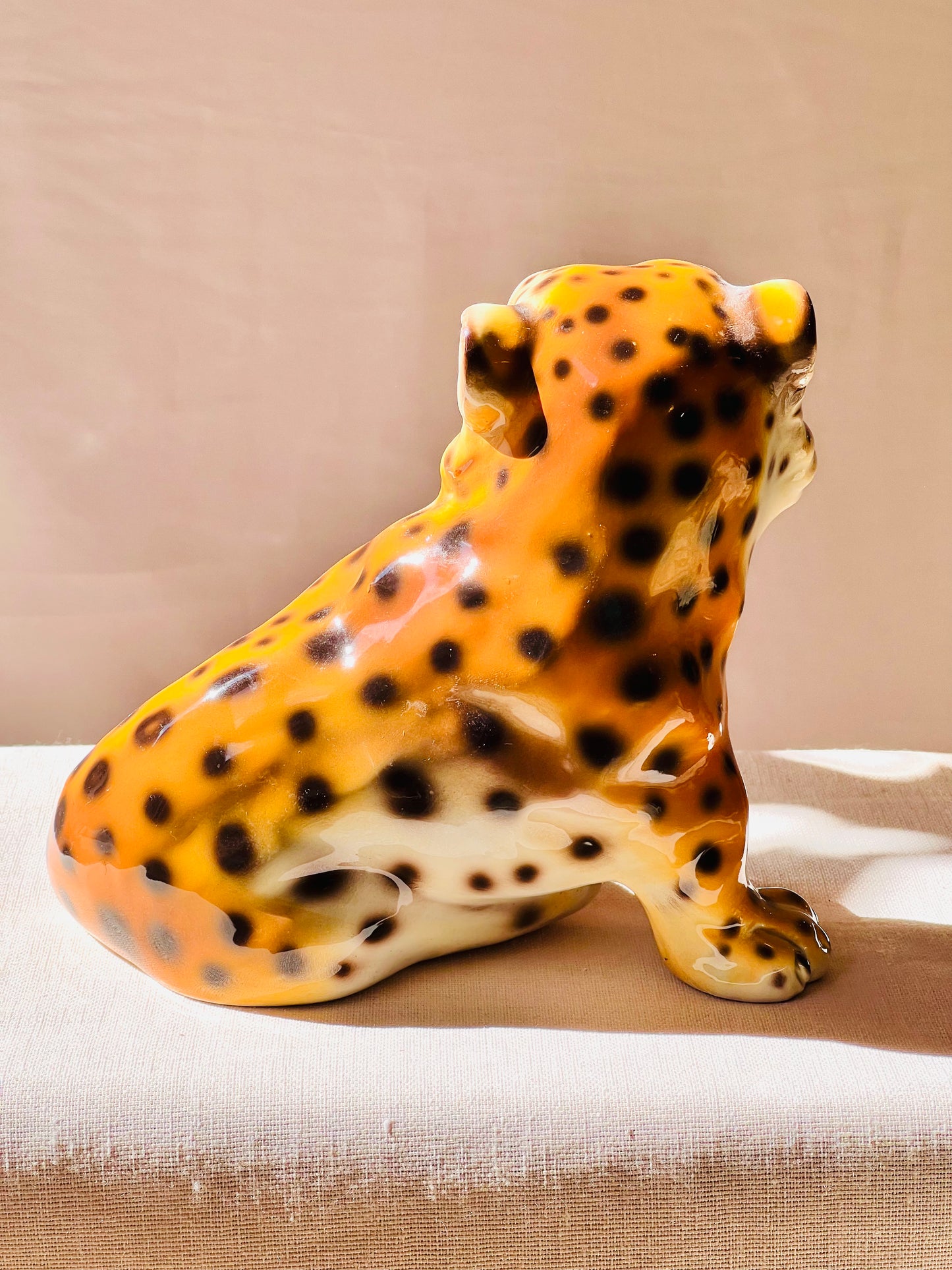 Leopardo baby rugiendo