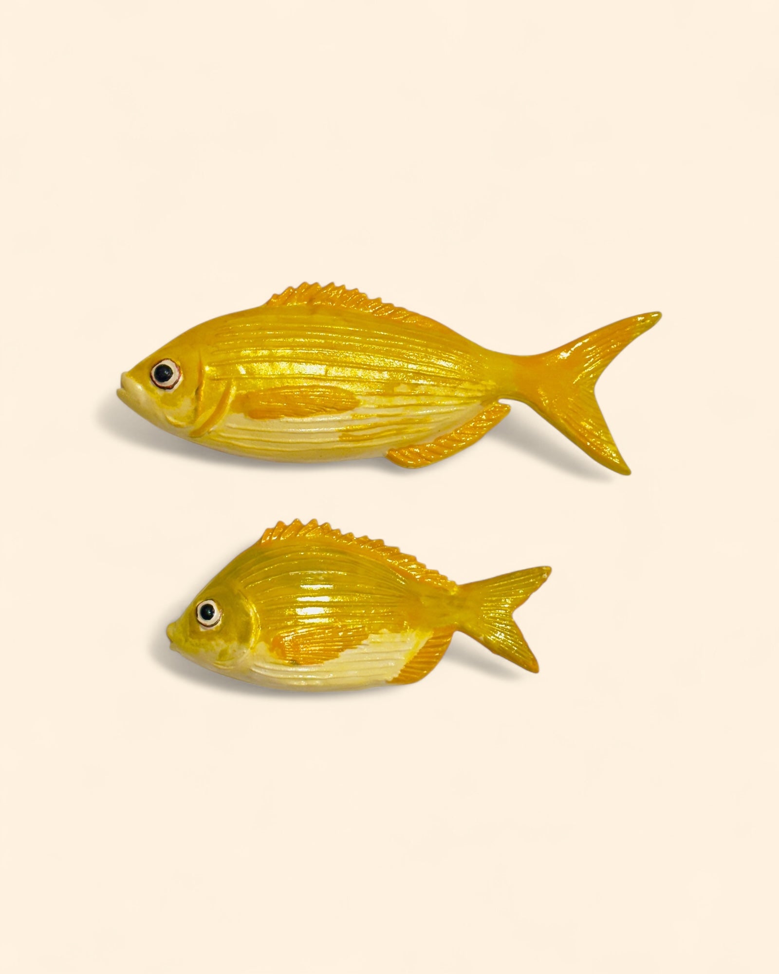 Dorada Común Amarilla