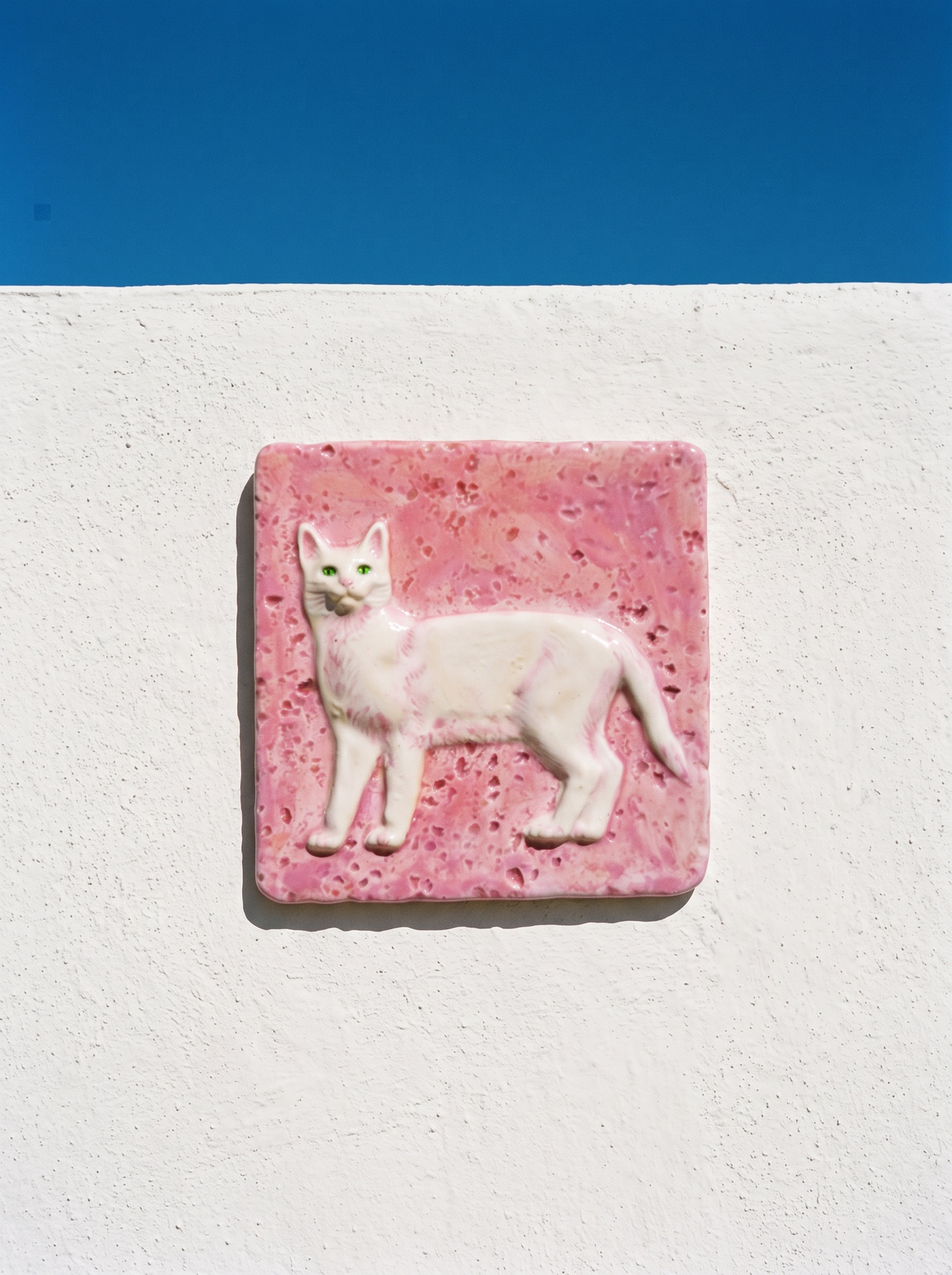 Azulejo Gato