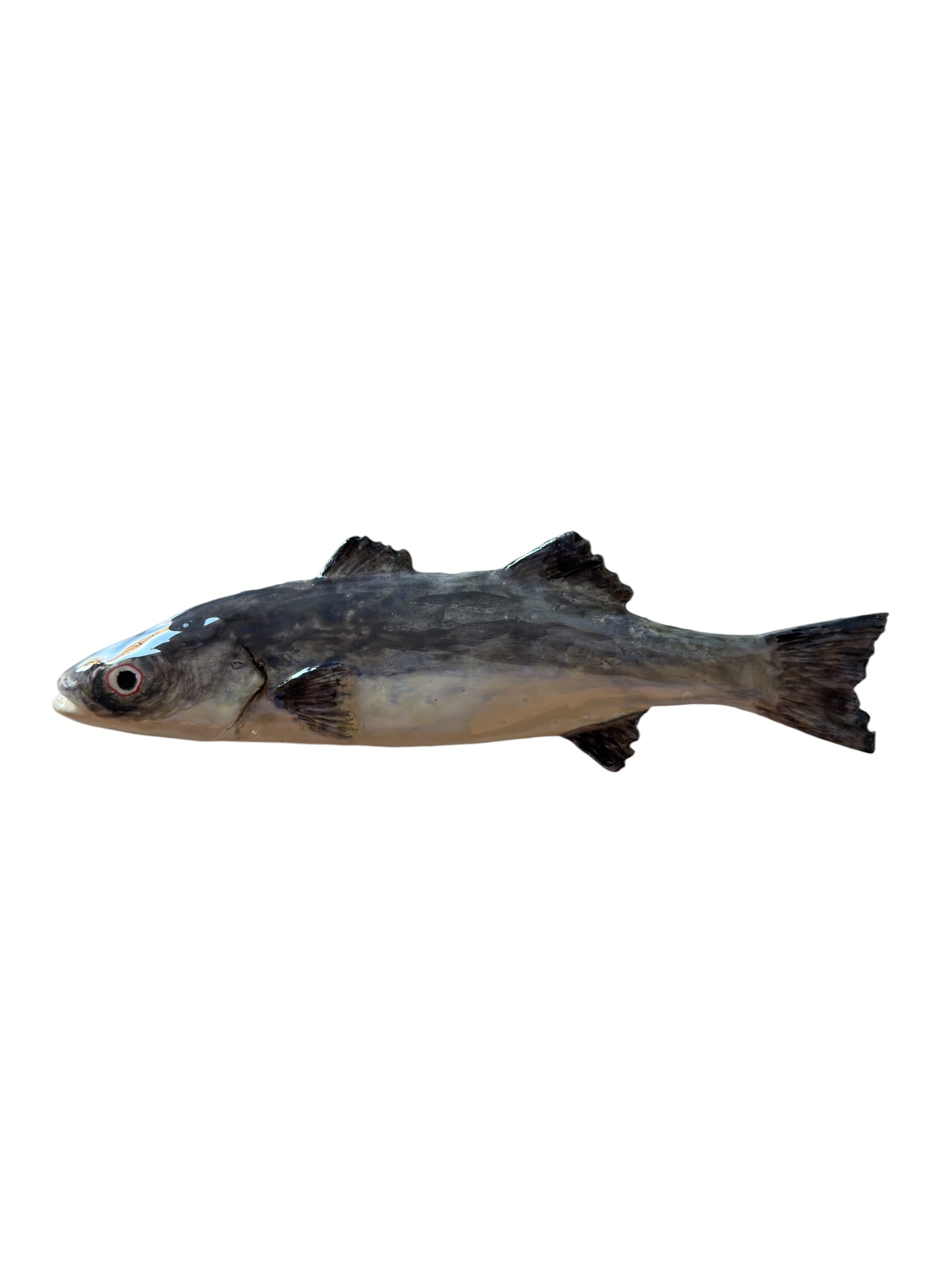 Lubina gris