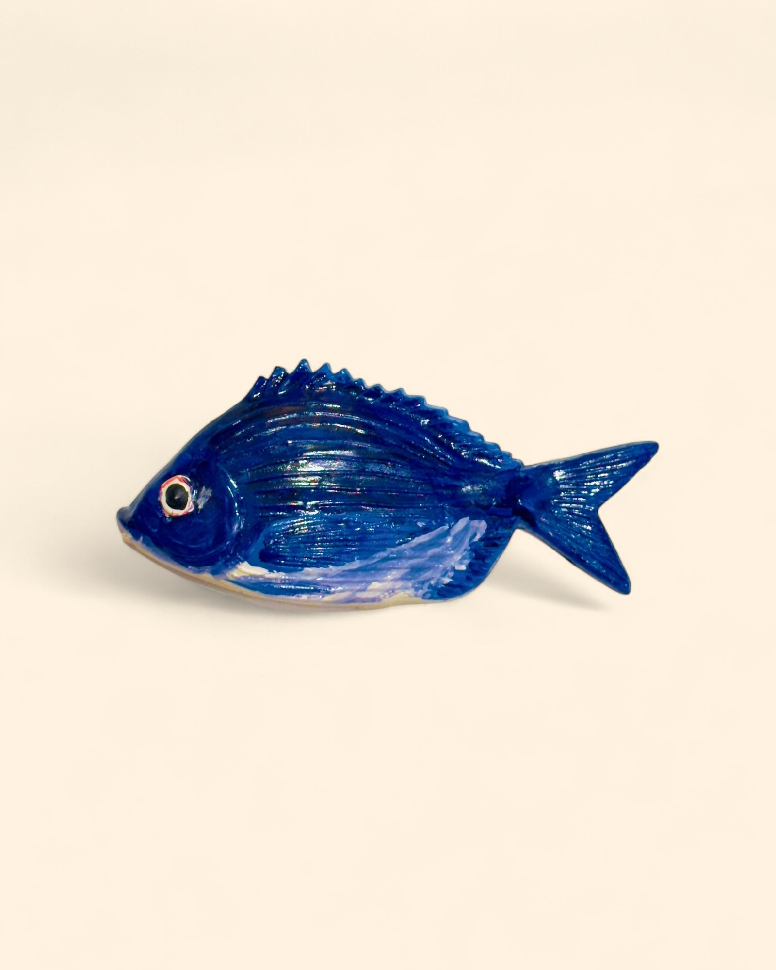Dorada Común Azul
