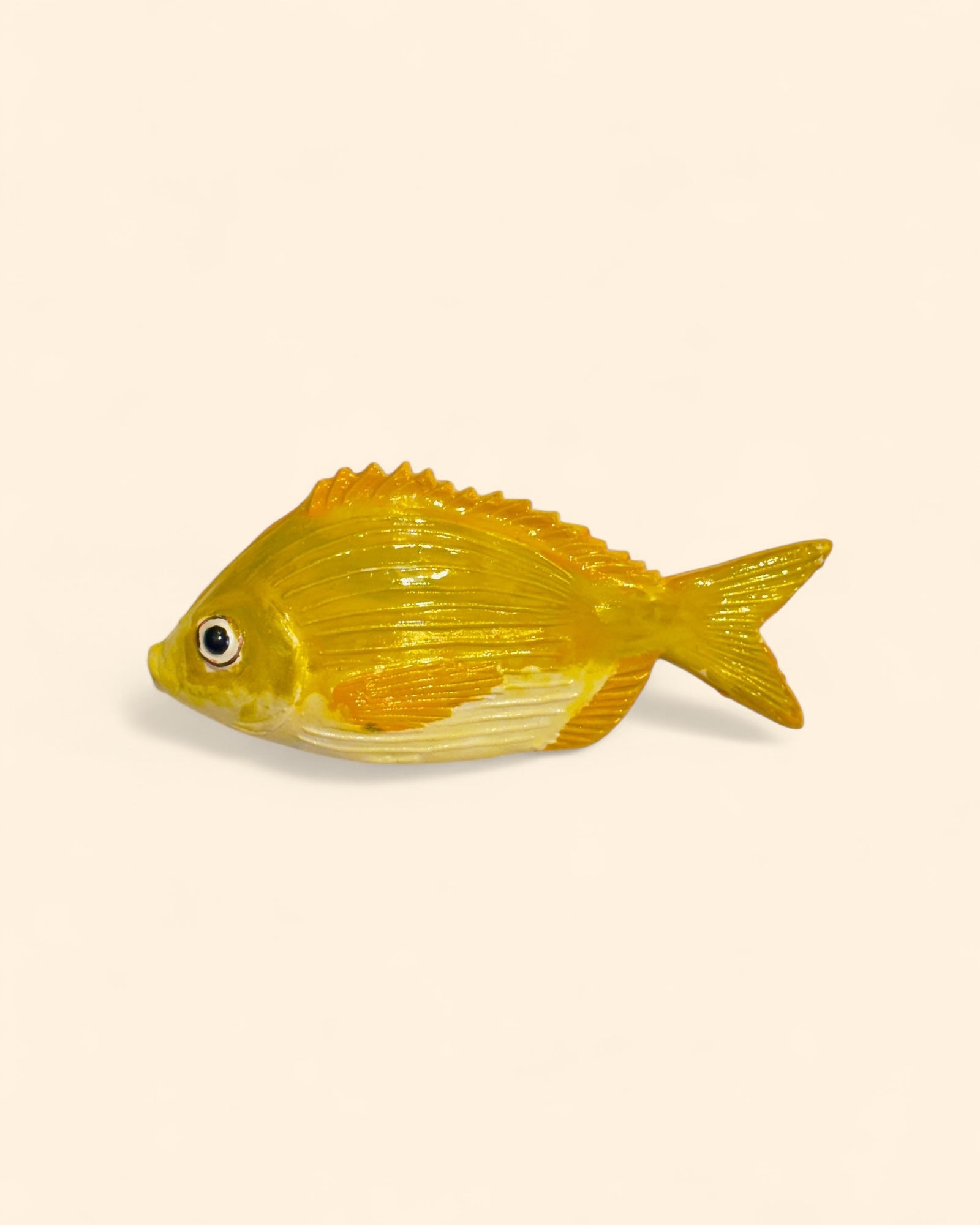 Dorada Común Amarilla