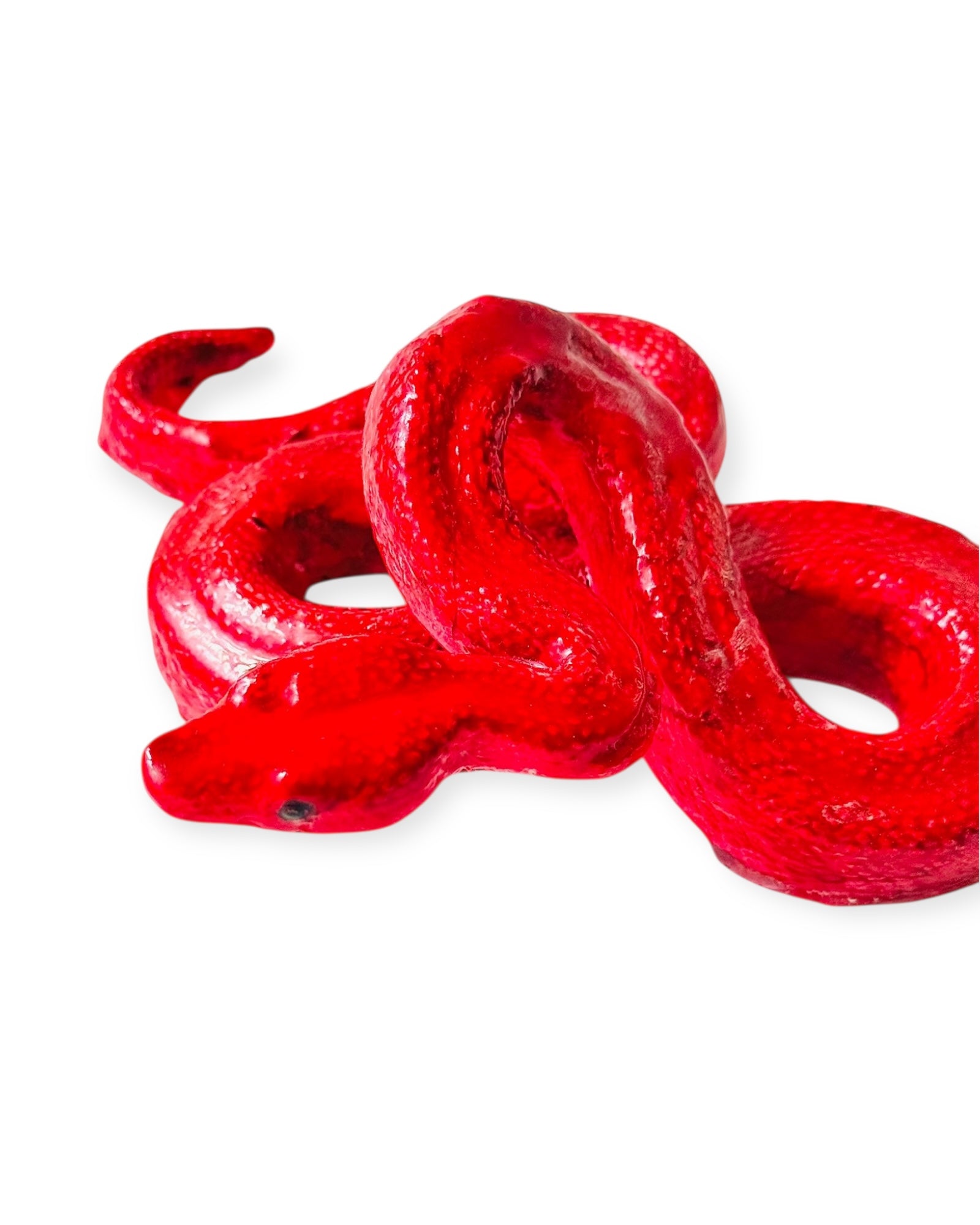 Alacranera Roja