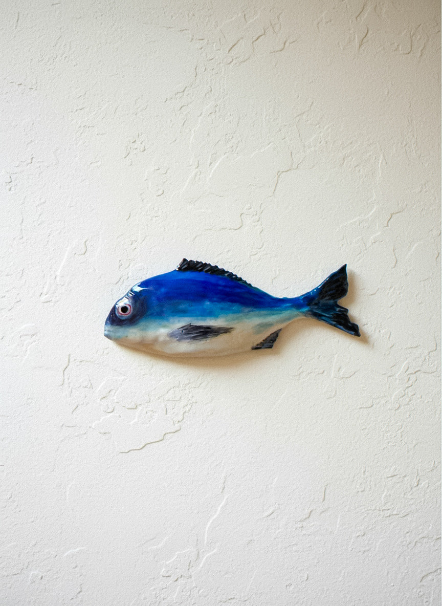 Dorada azul