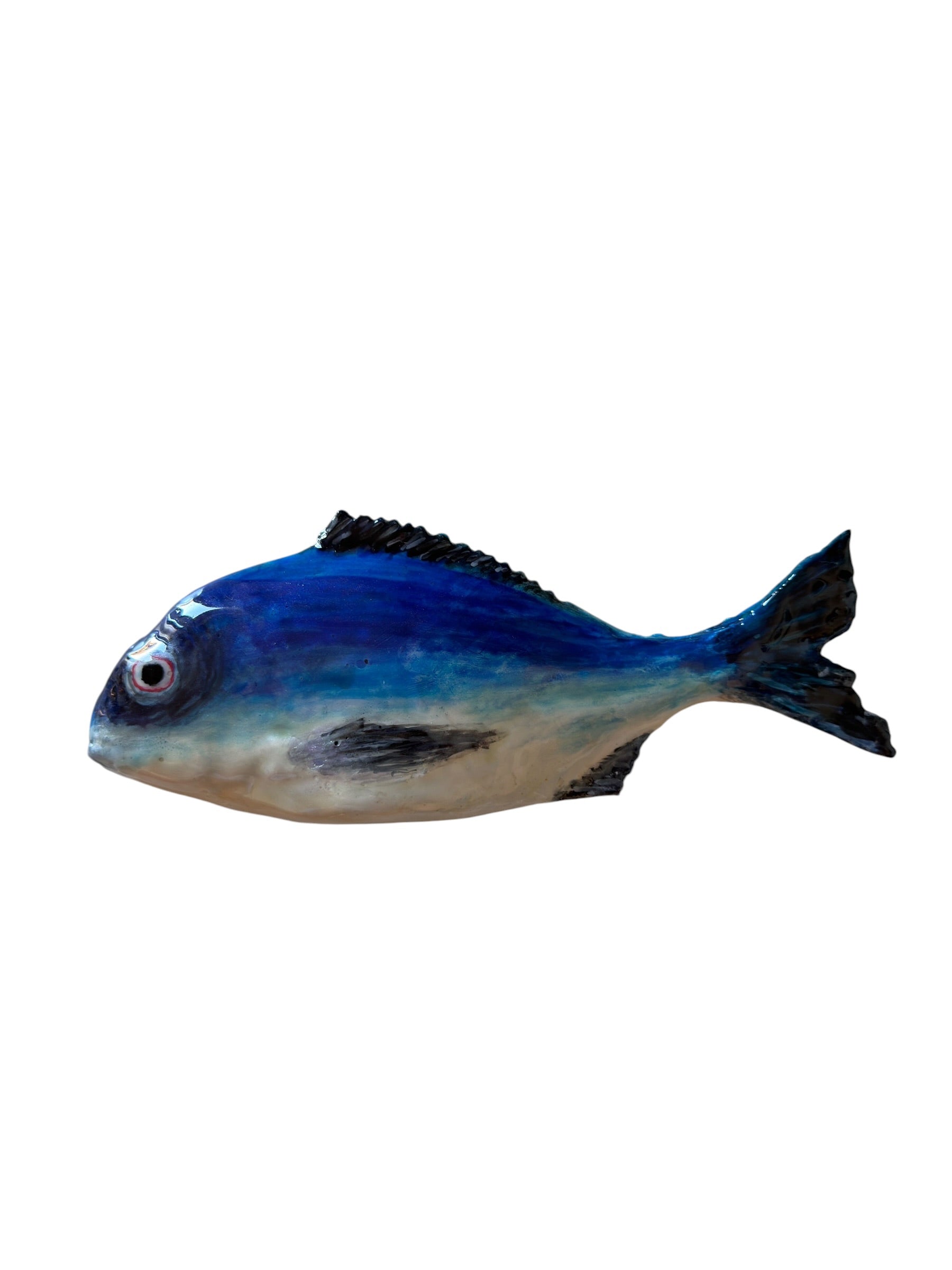 Dorada azul