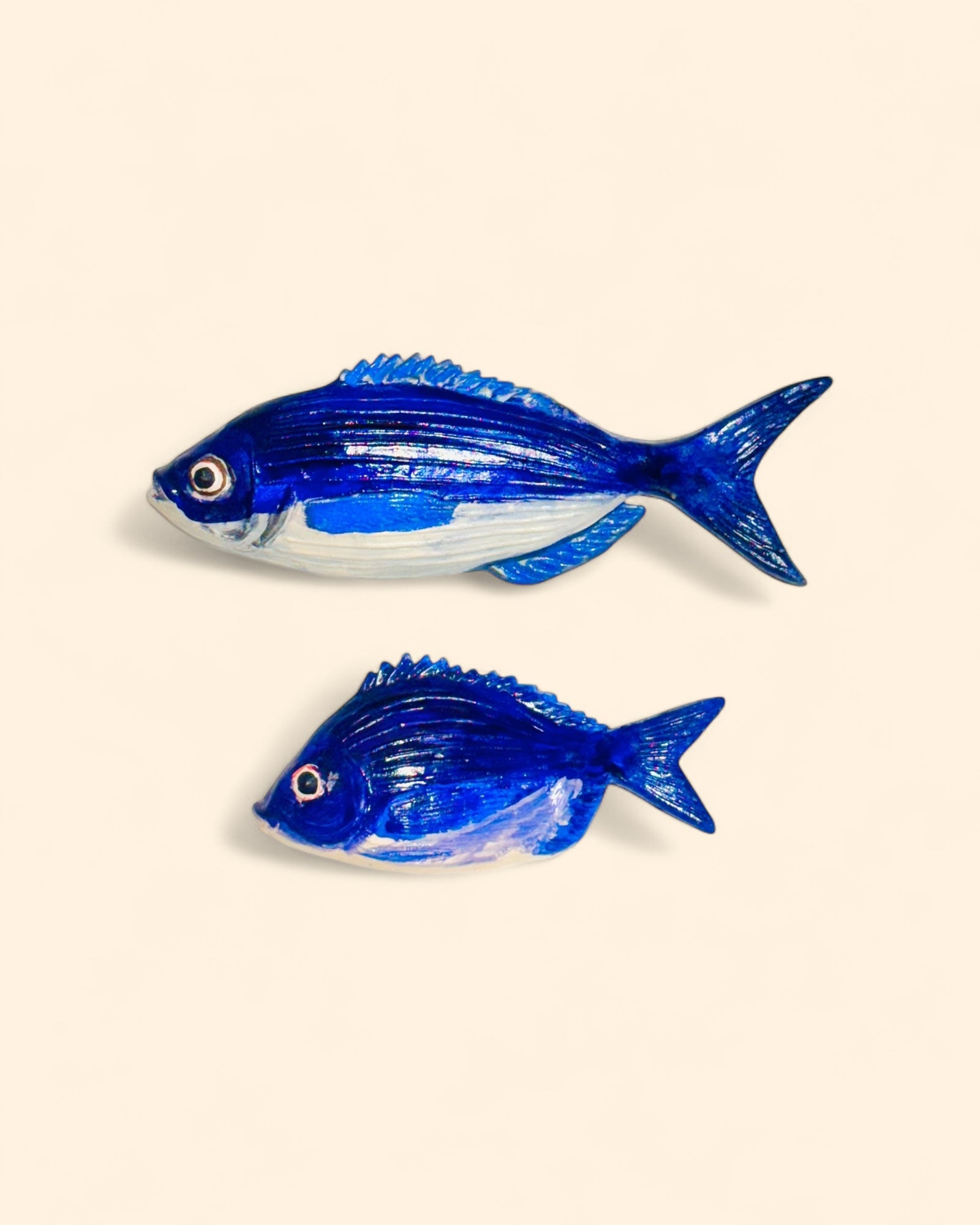 Dorada Común Azul