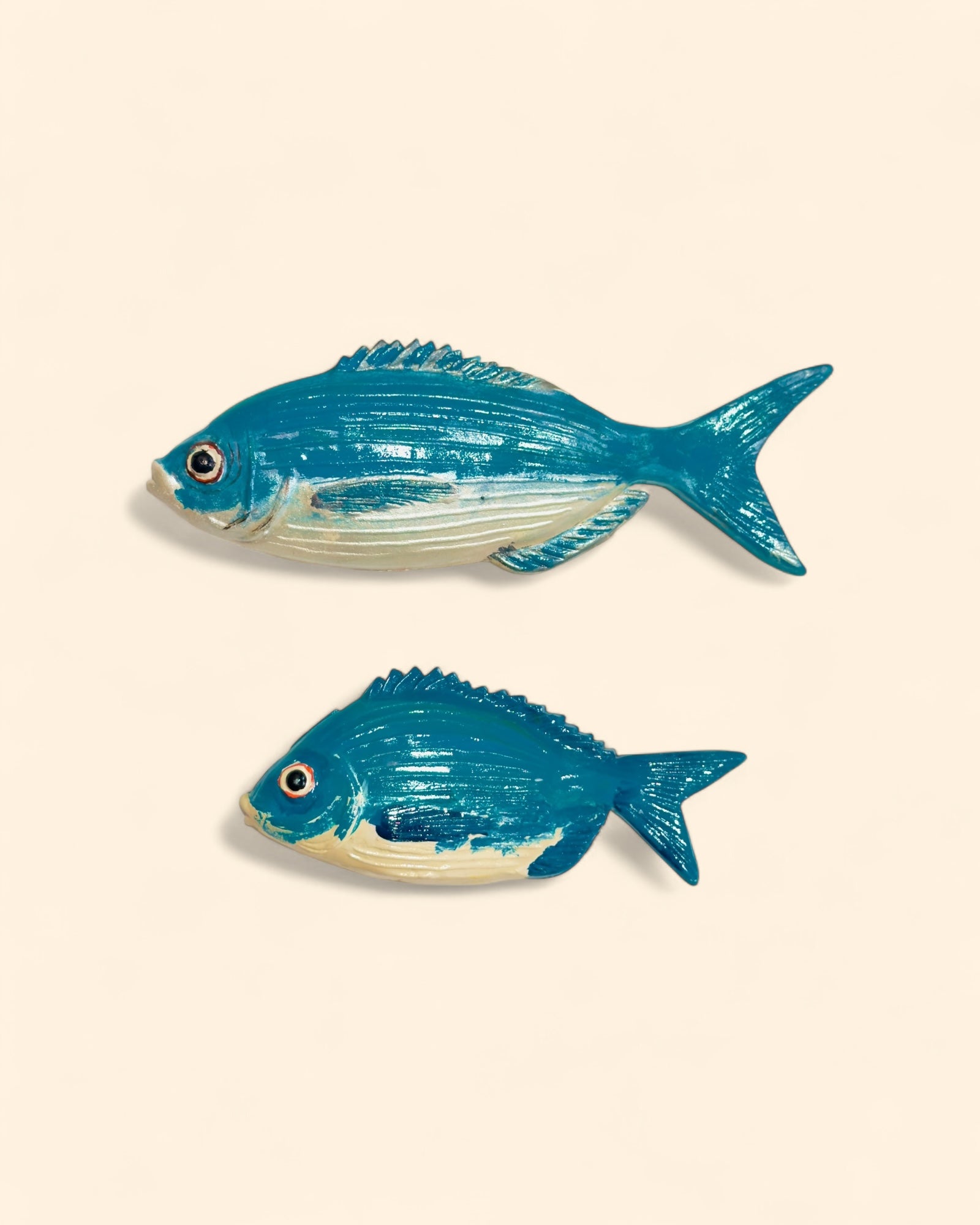 Dorada Común Turquesa