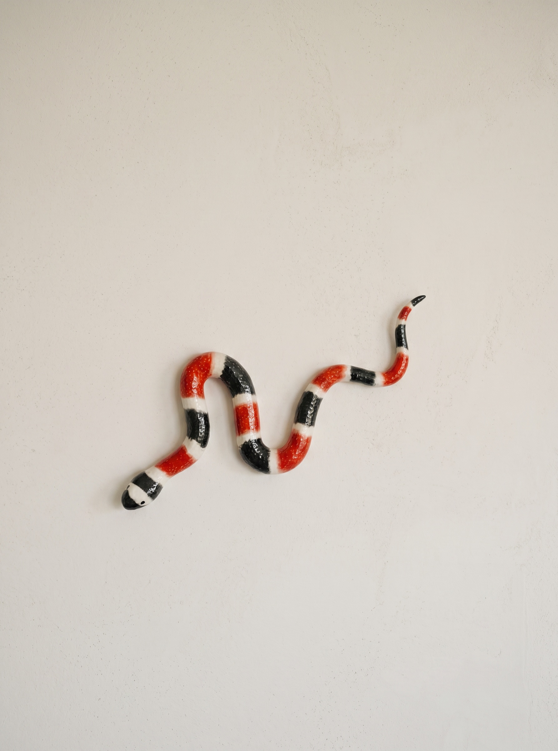 Serpiente Coral Grande