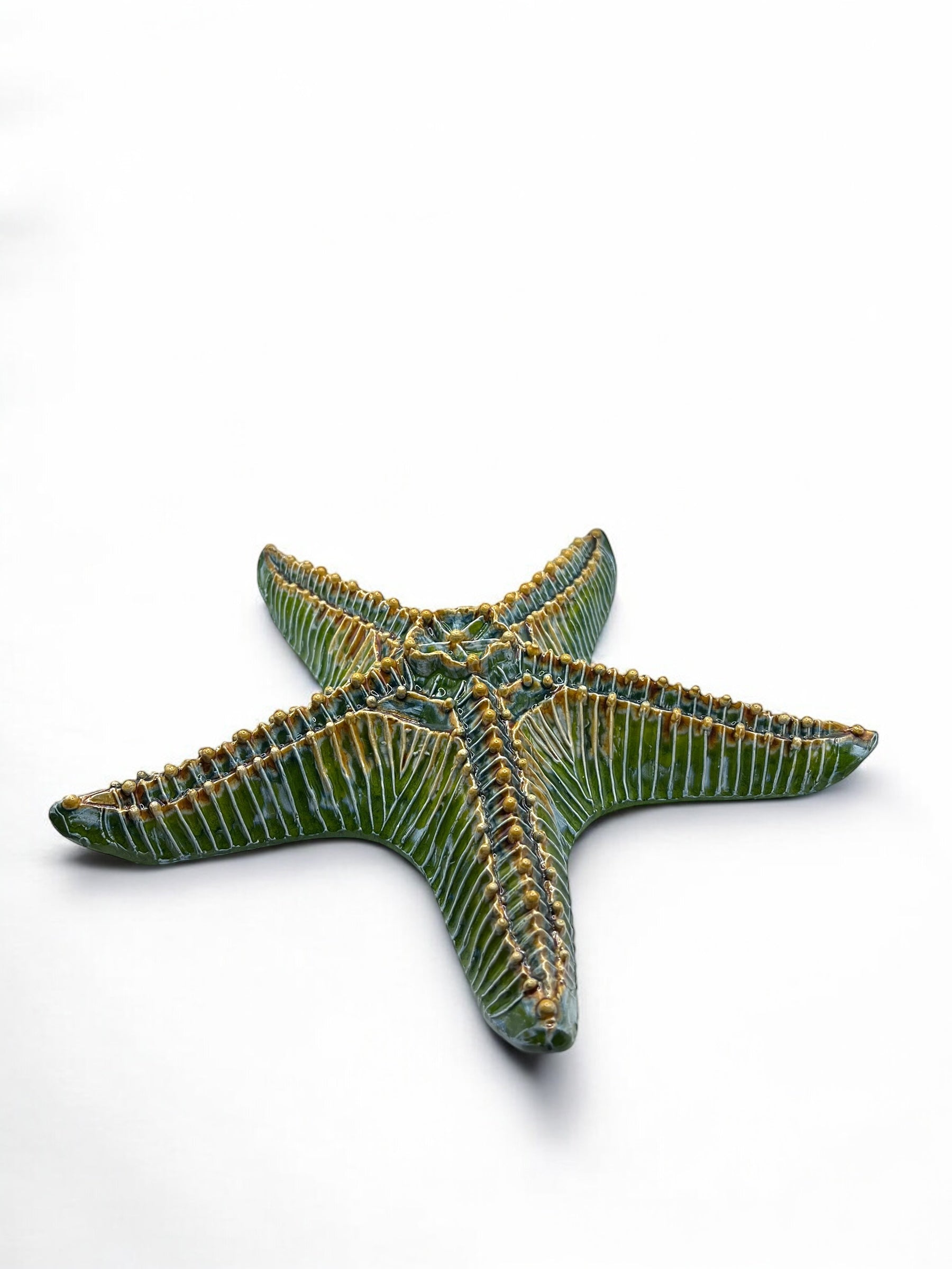 Estrella de mar gigante verde