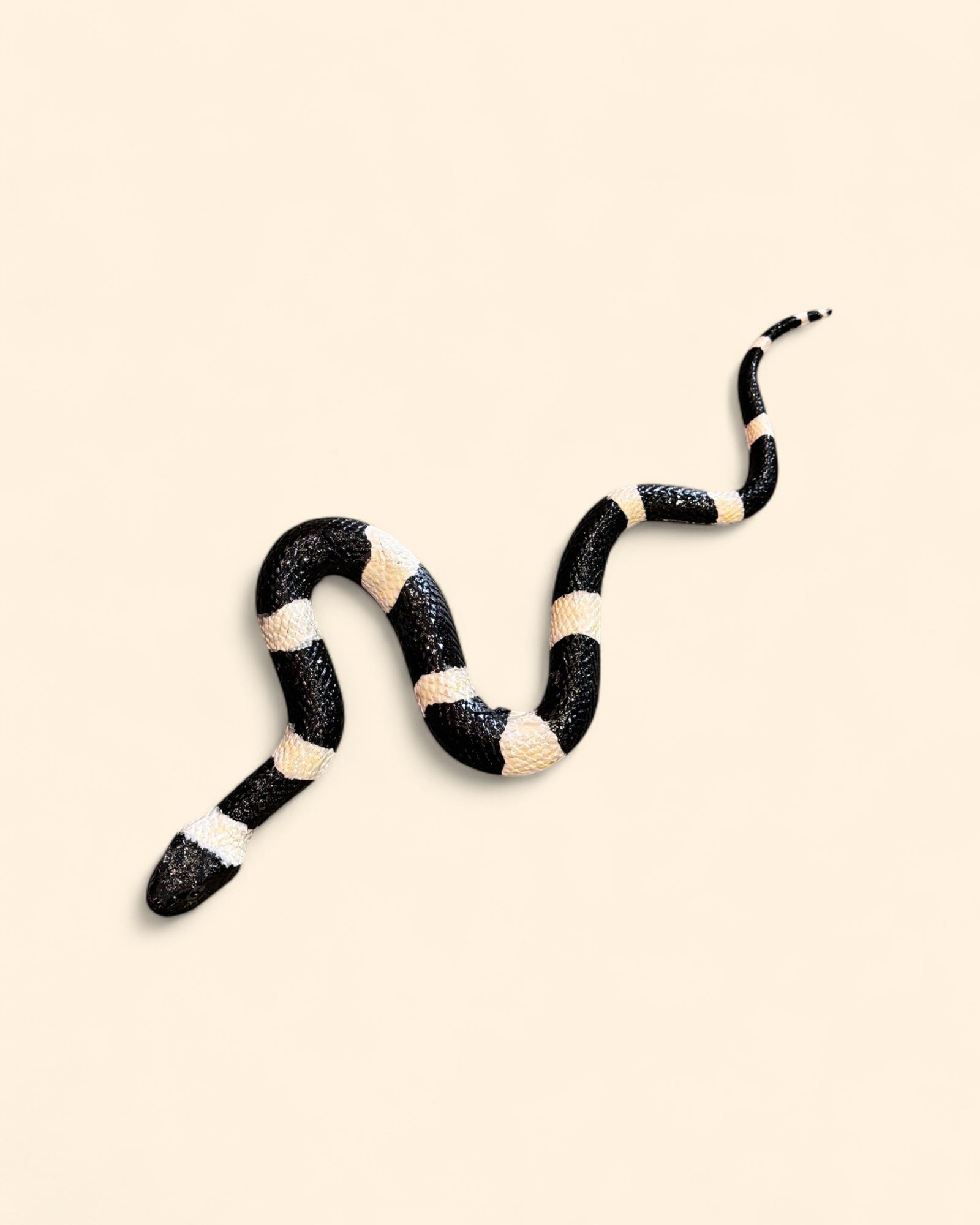 Serpiente Coralillo Negra