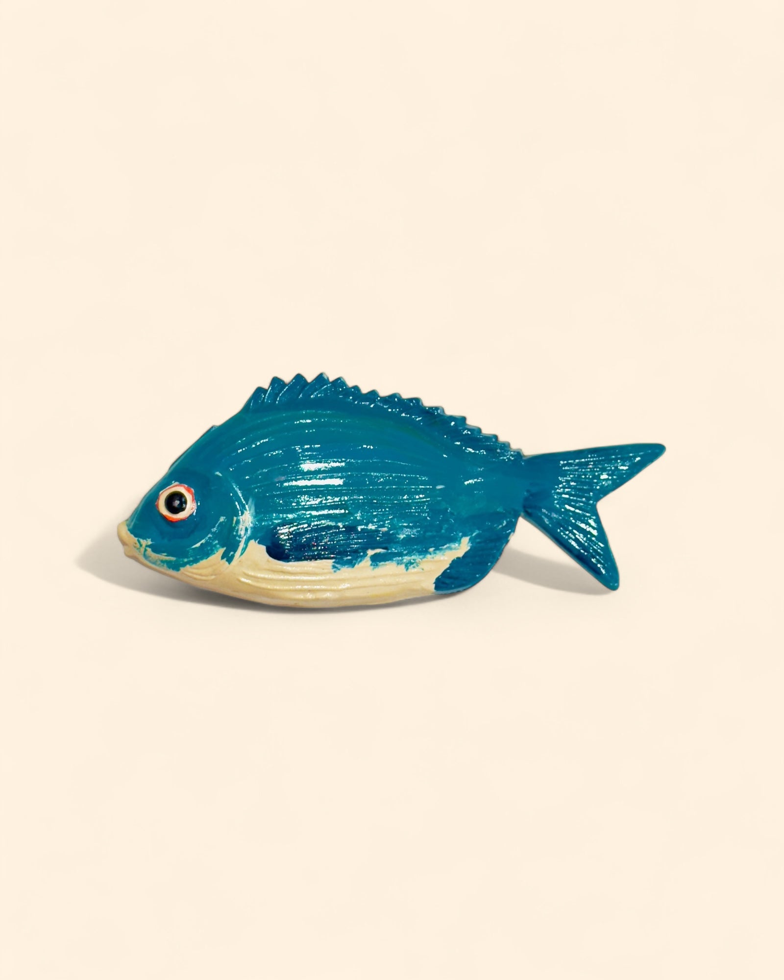 Dorada Común Turquesa