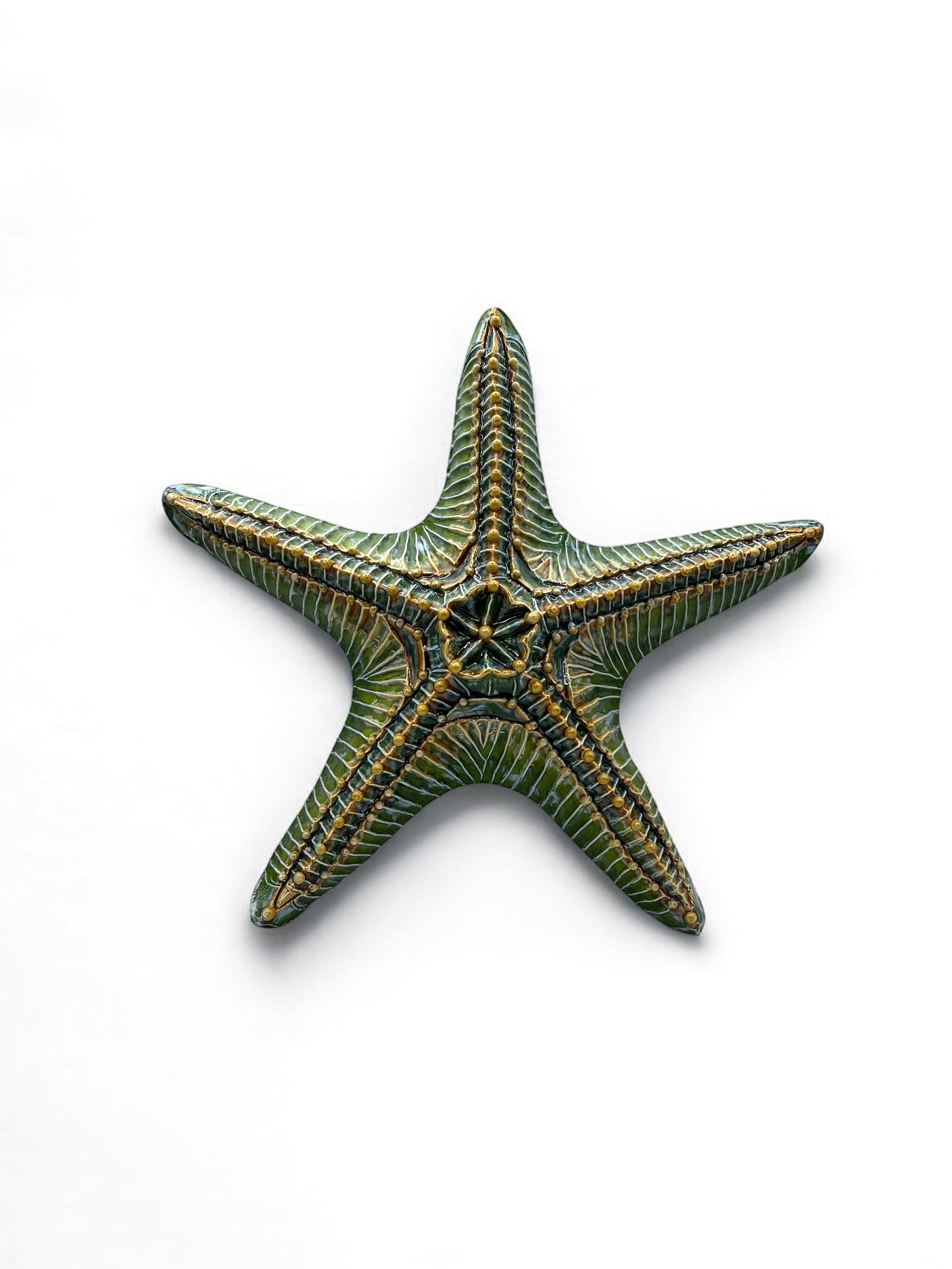 Estrella de mar gigante verde