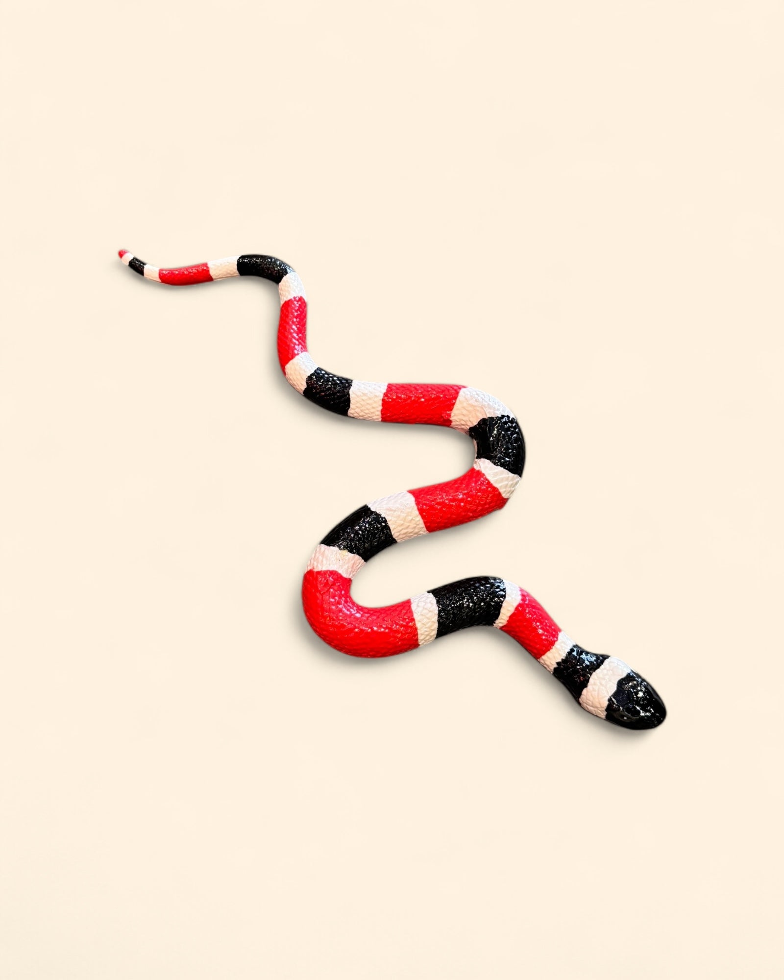 Serpiente Coral