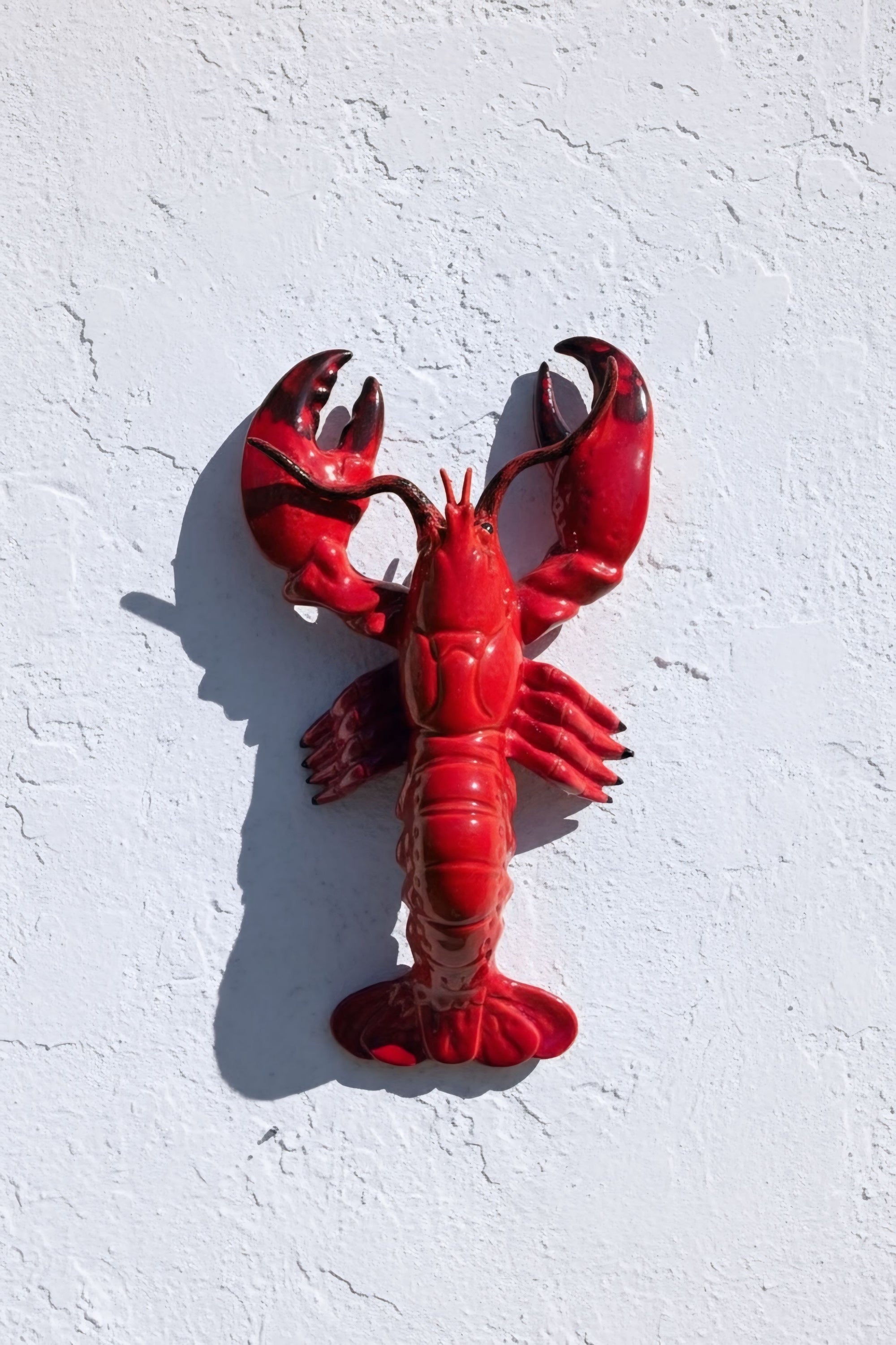 Bogavante rojo pinzas grandes