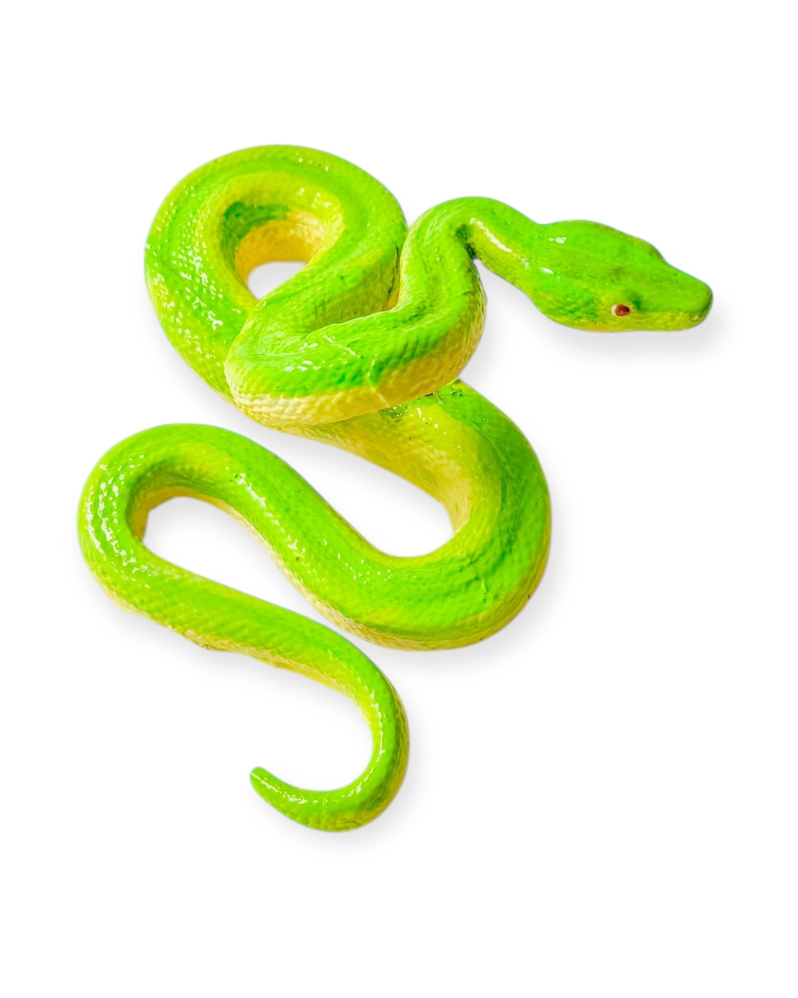 Culebra Verde