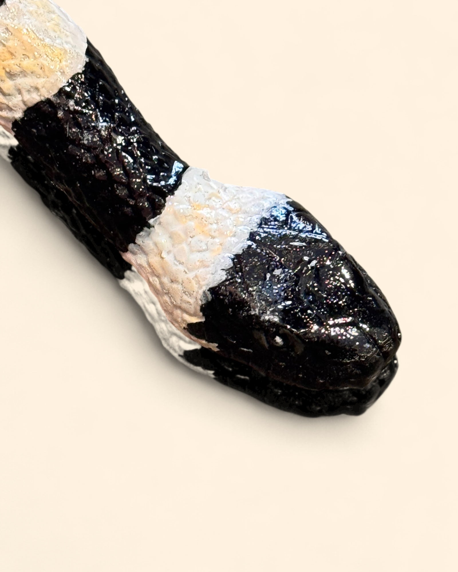 Serpiente Coralillo Negra