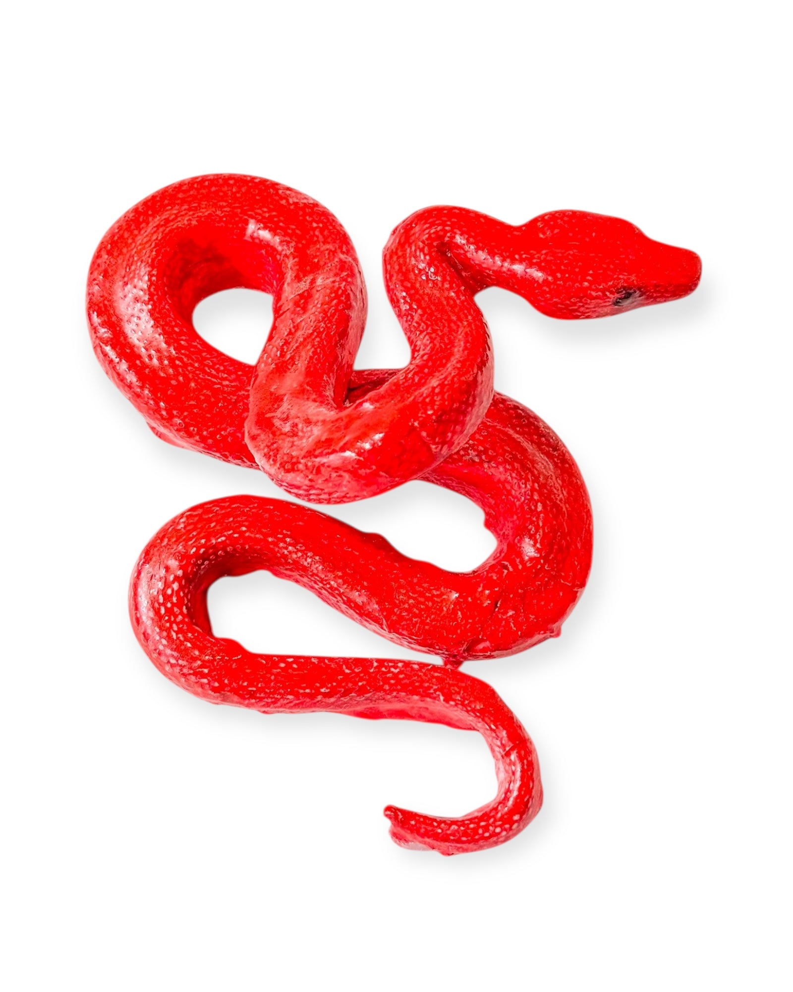 Alacranera Roja