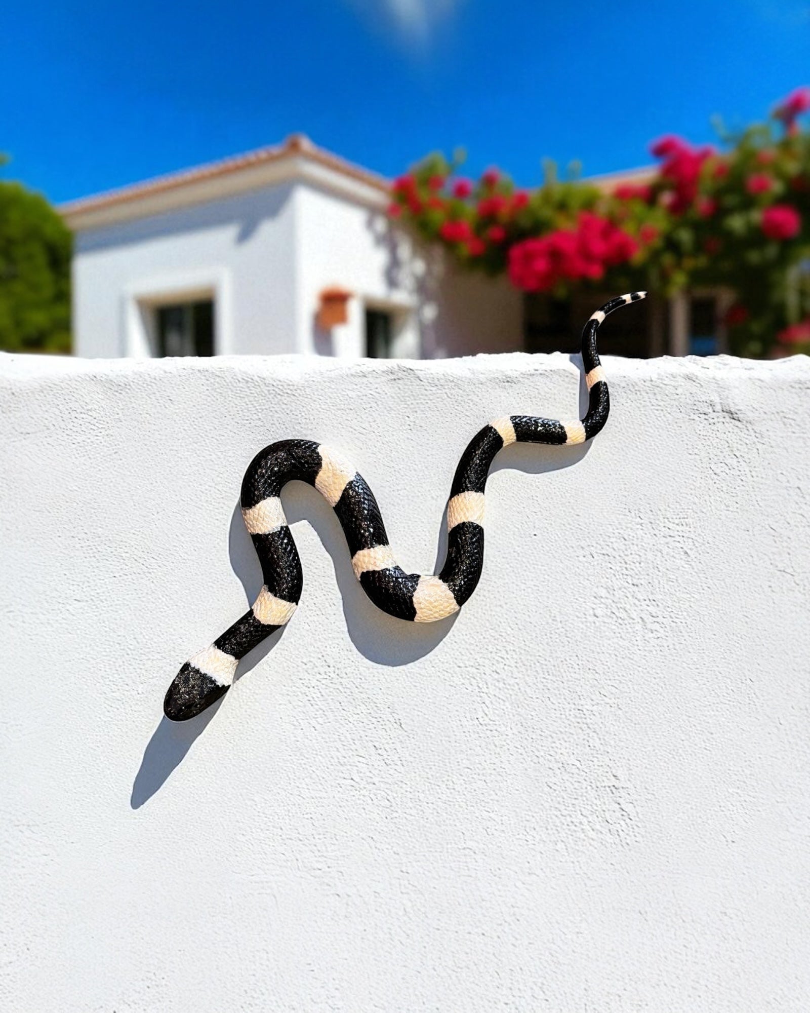 Serpiente Coralillo Negra