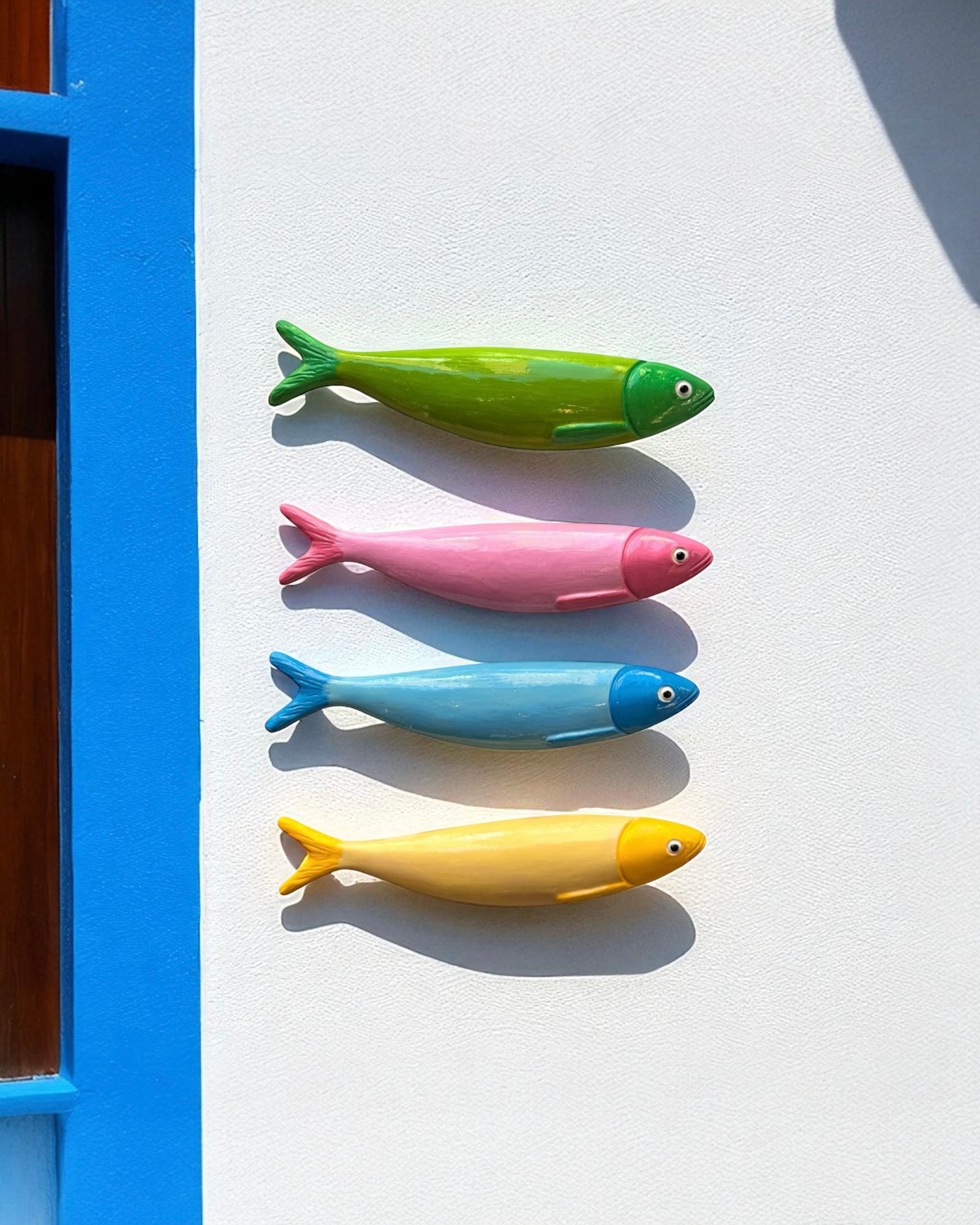 Sardina Colores