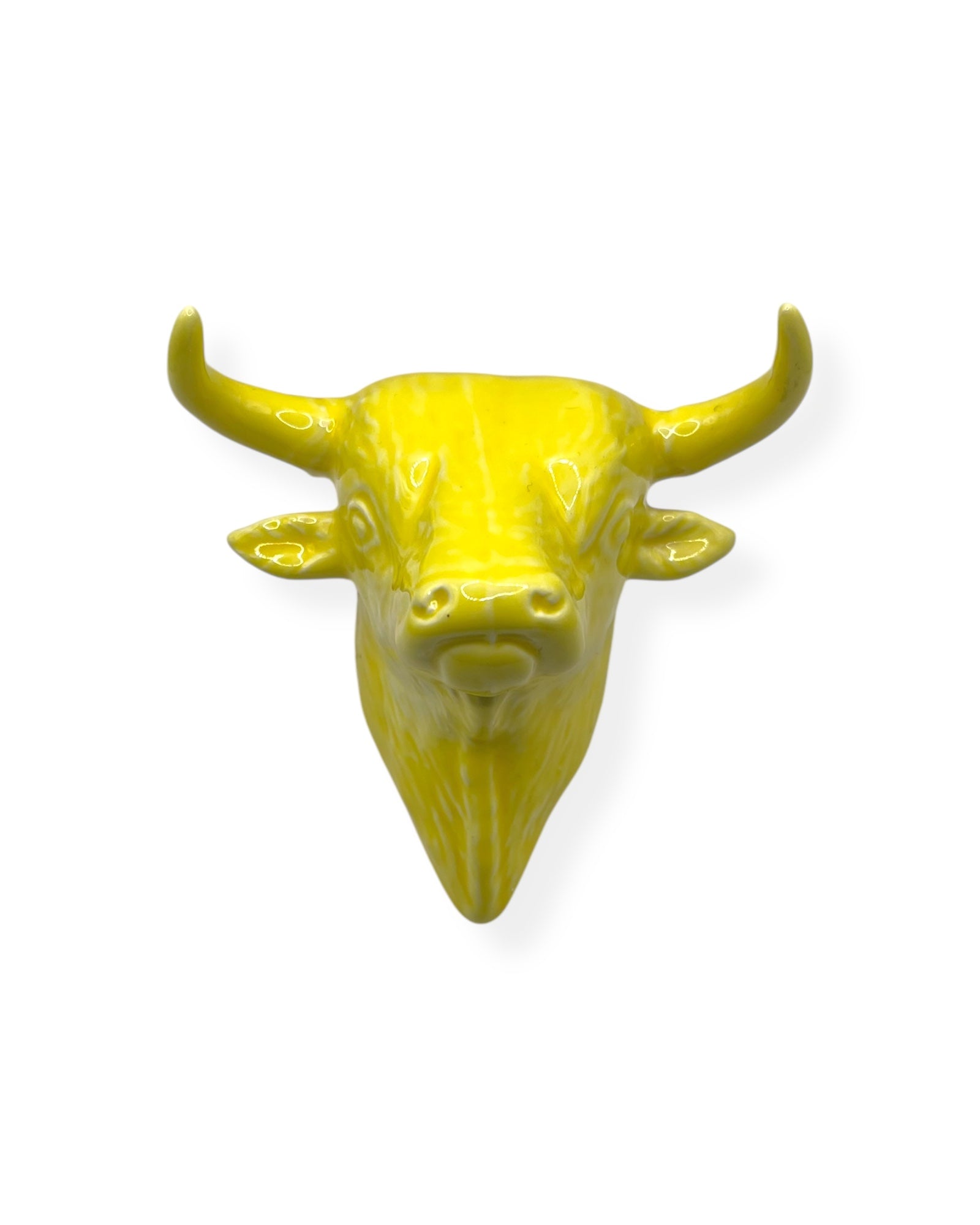 Cabeza de toro pequeña
