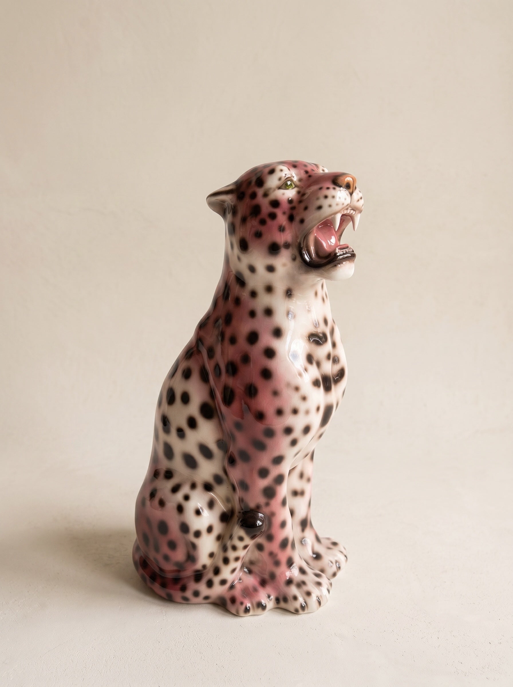 Leopardo Rosa