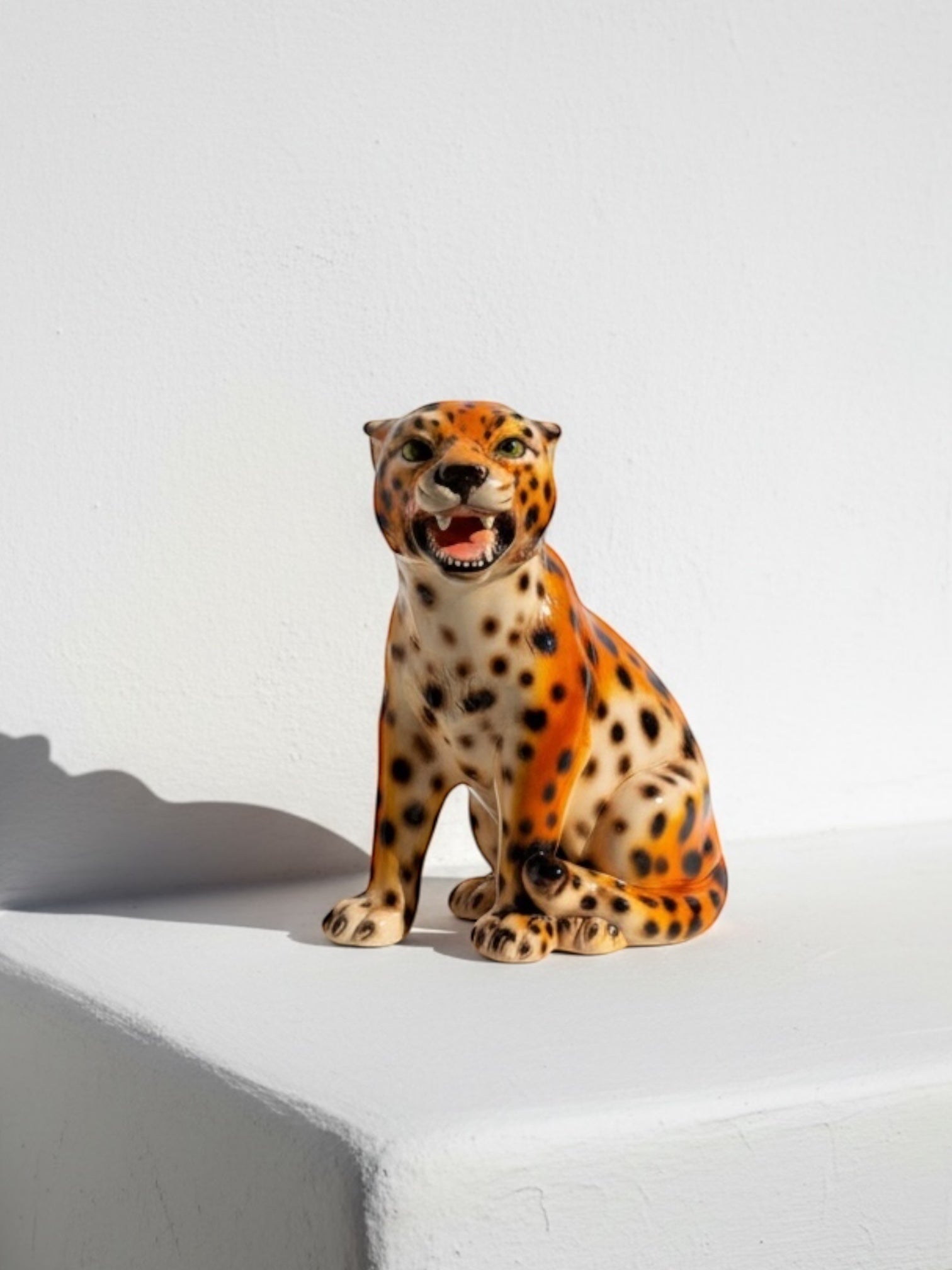 Leopardo sentado rugiendo