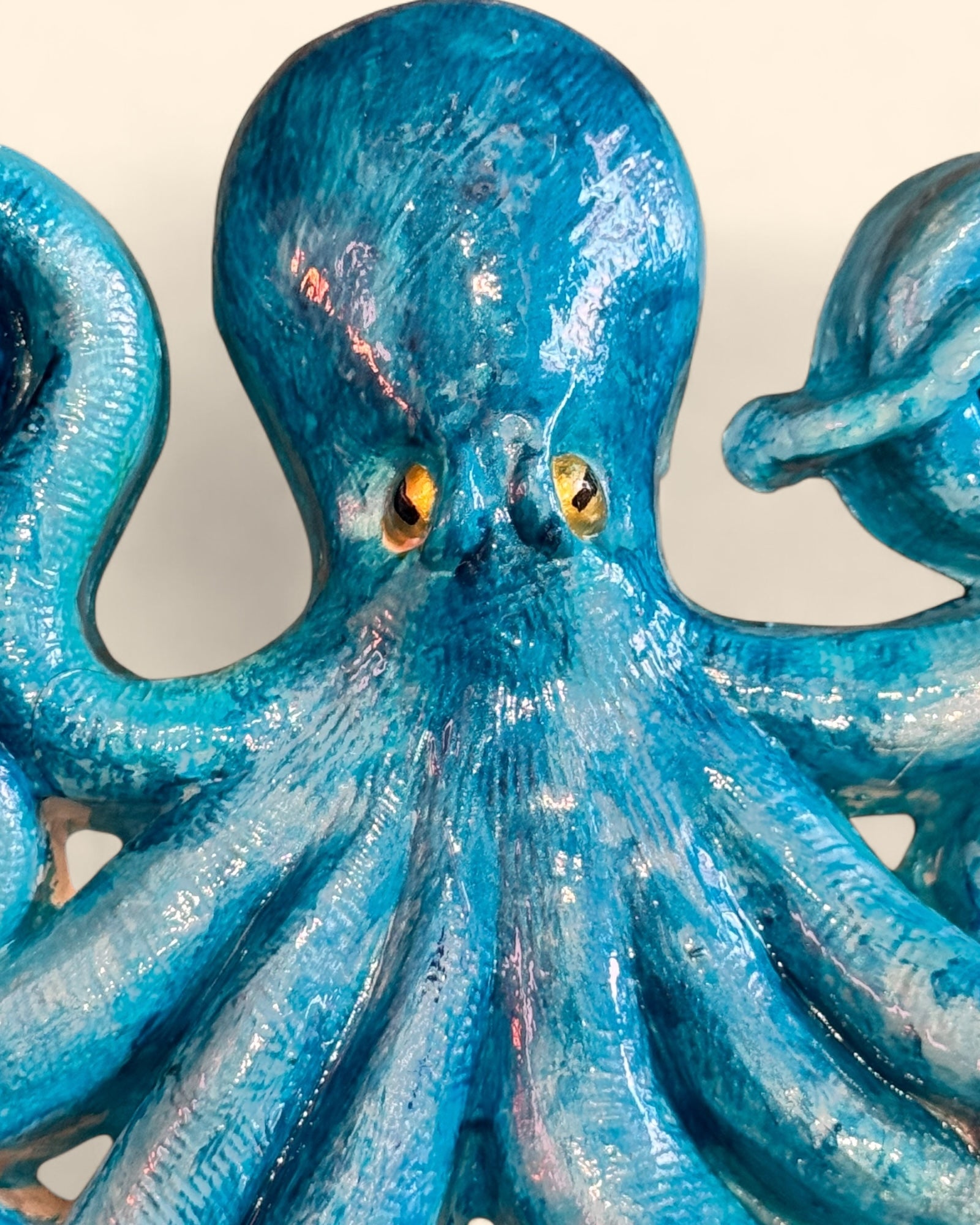 Pulpo Octopoda Cærulea