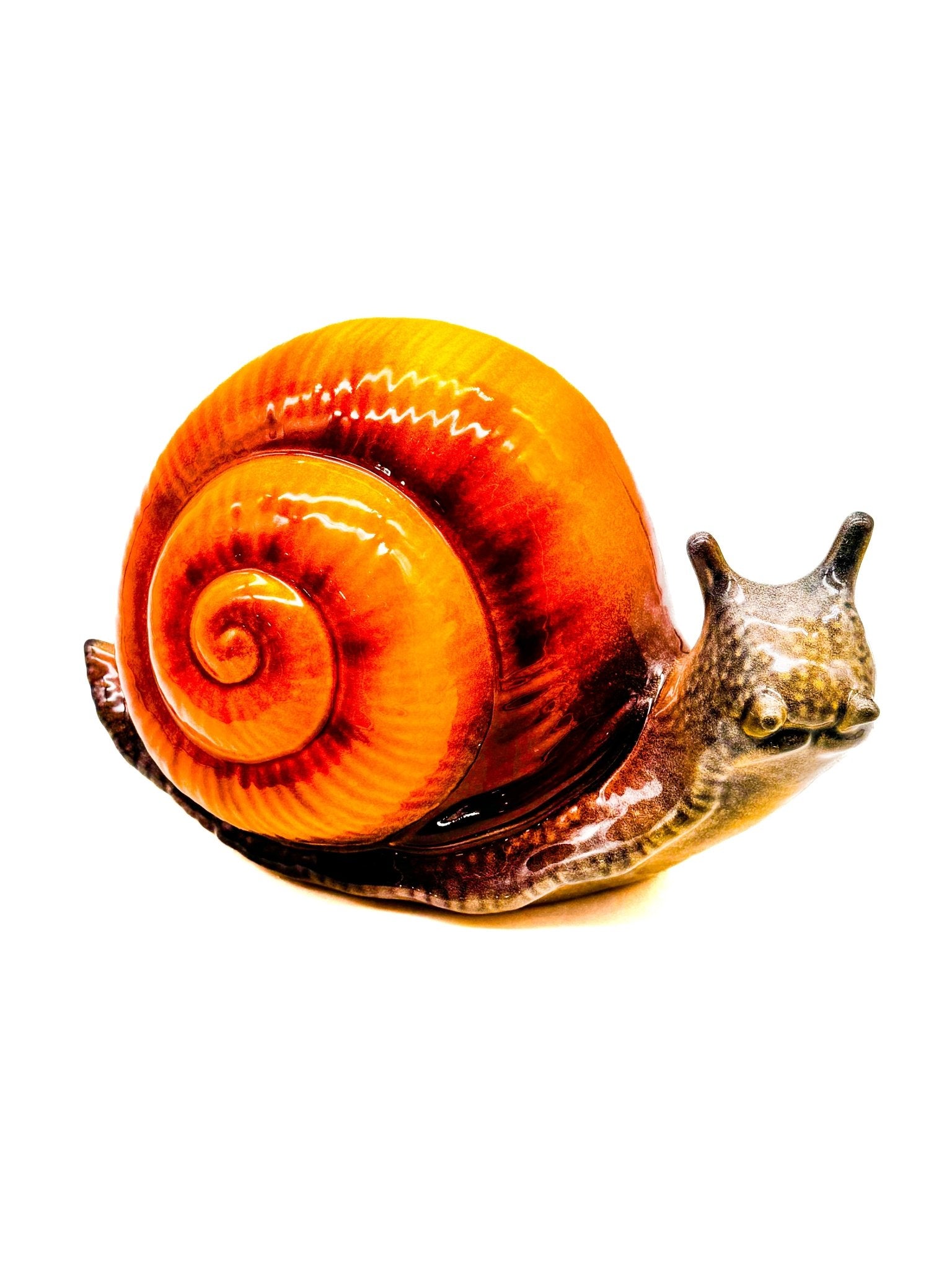 Caracol gigante - moruecoceramicas