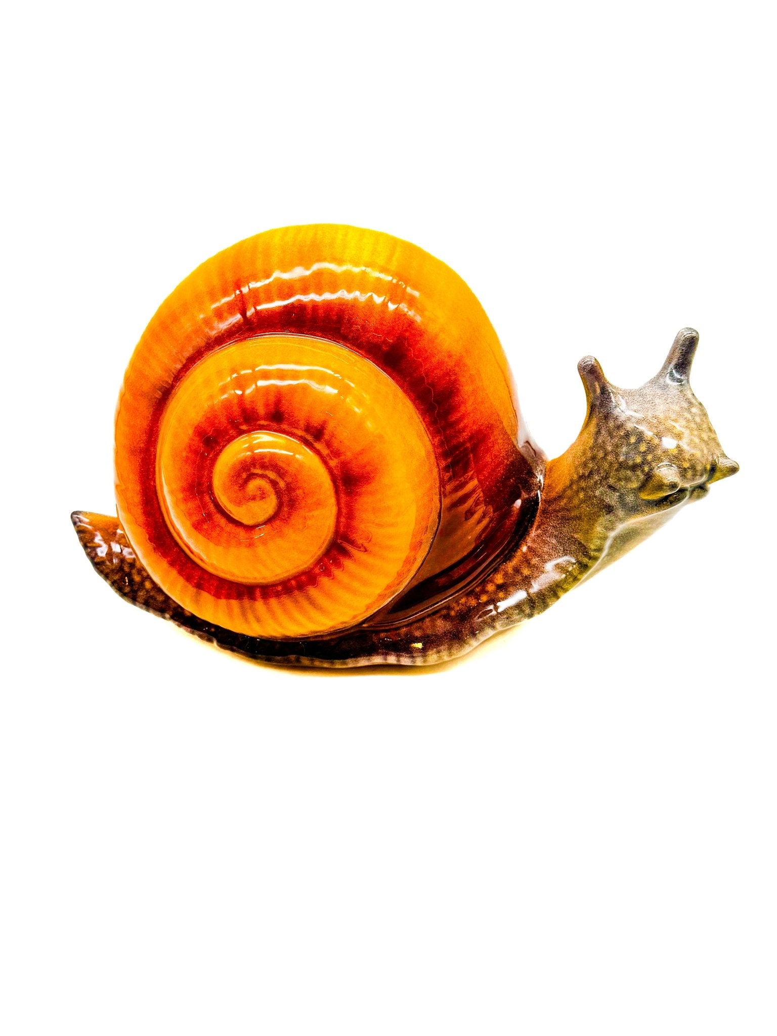 Caracol gigante - moruecoceramicas