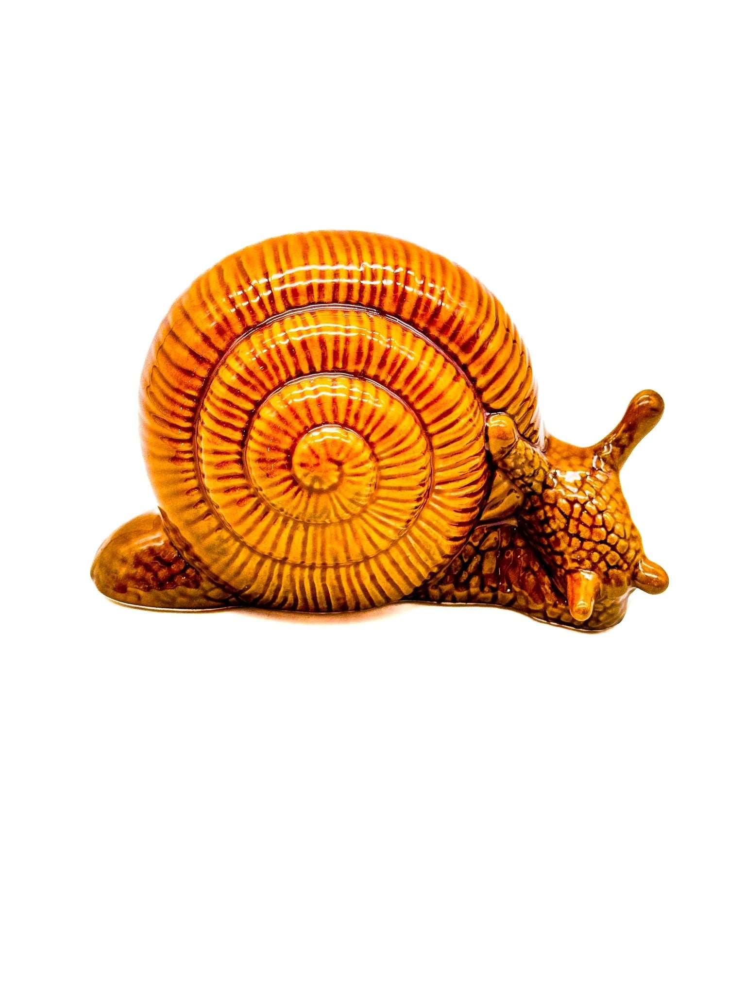 Caracol grande - moruecoceramicas