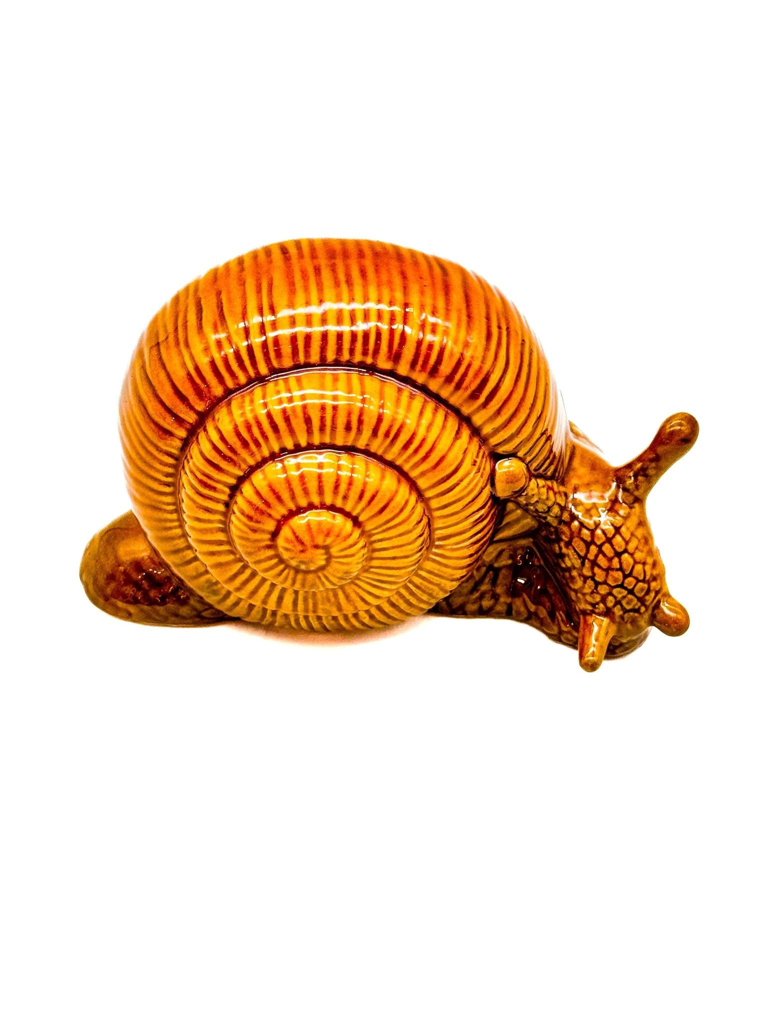 Caracol grande - moruecoceramicas