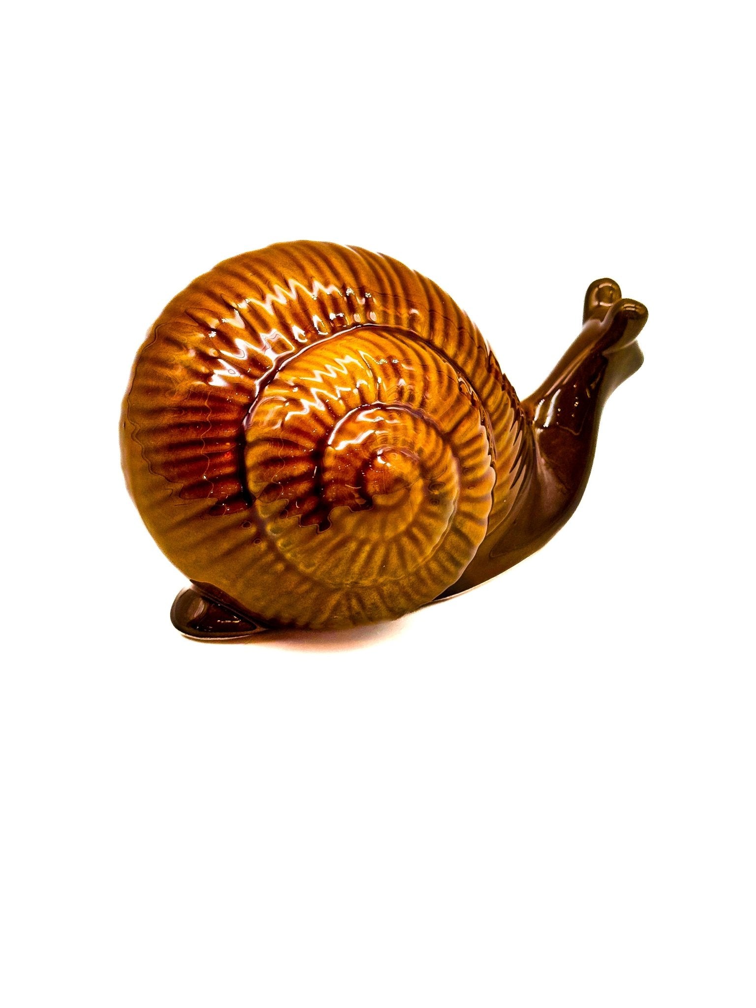 Caracol mediano - moruecoceramicas