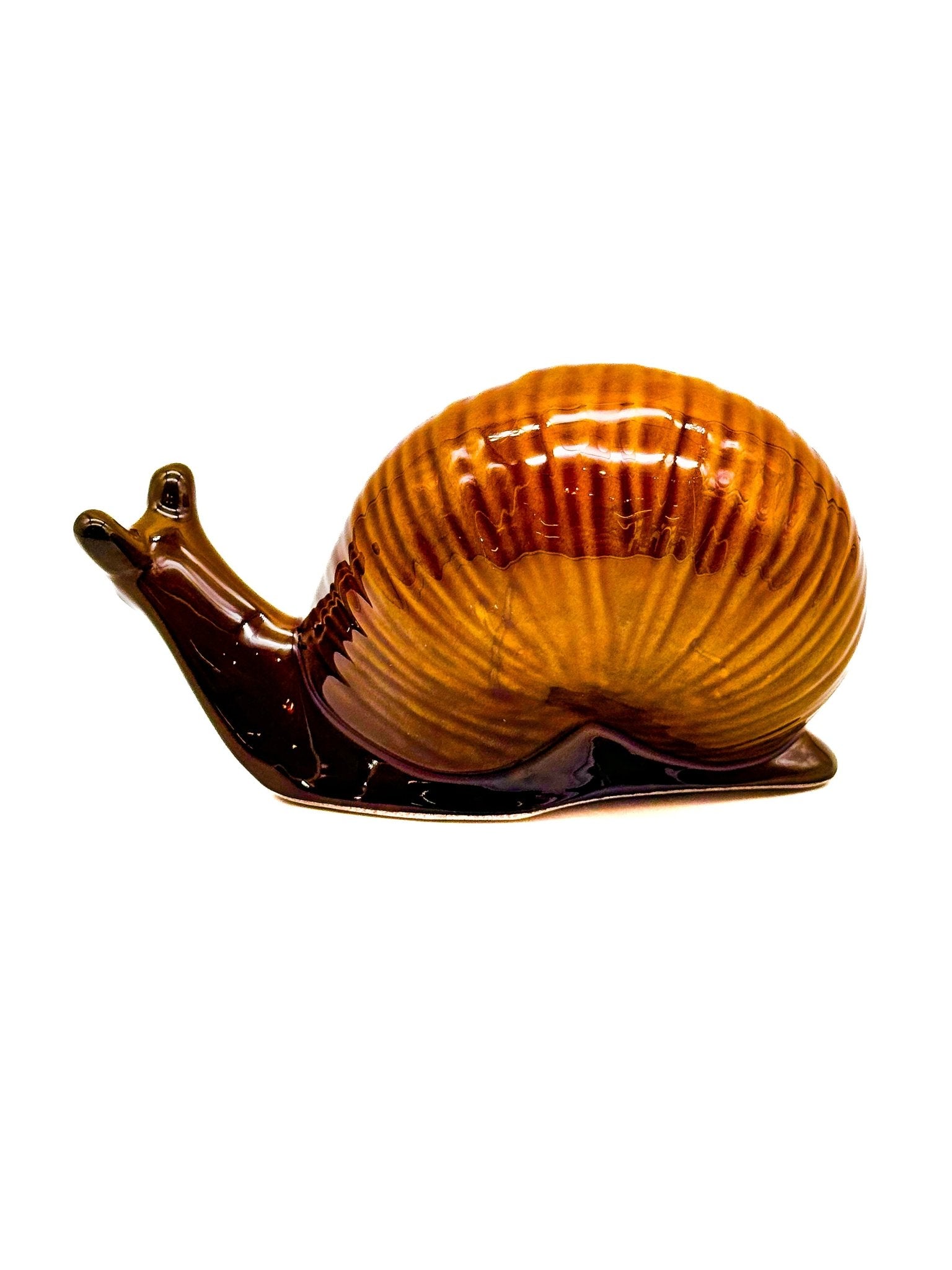 Caracol mediano - moruecoceramicas