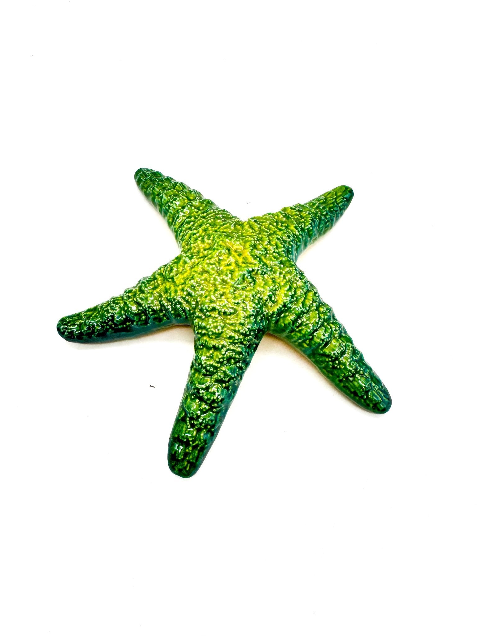 Estrella de Mar E005 - moruecoceramicas