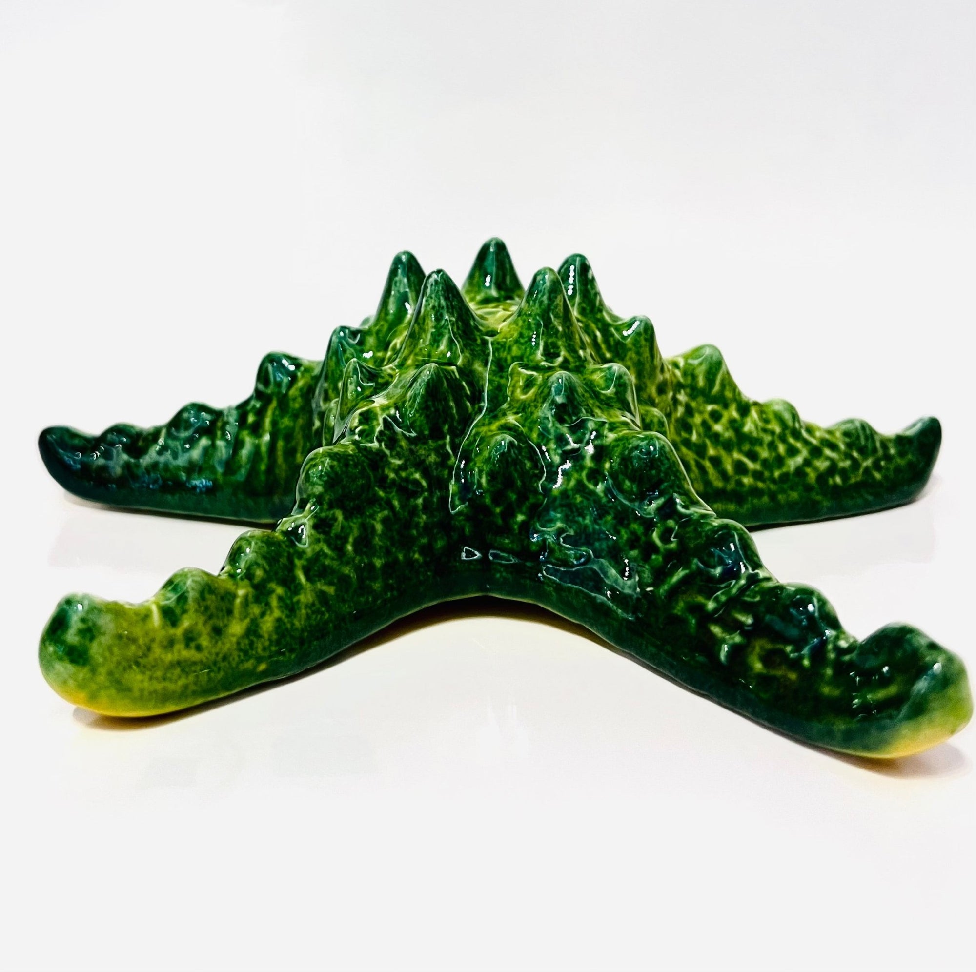 Estrella de Mar Verde Relieve - moruecoceramicas