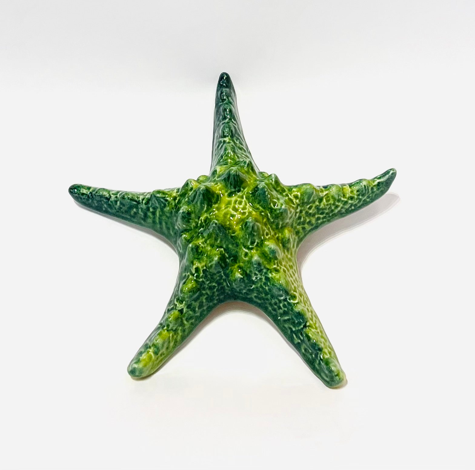 Estrella de Mar Verde Relieve - moruecoceramicas