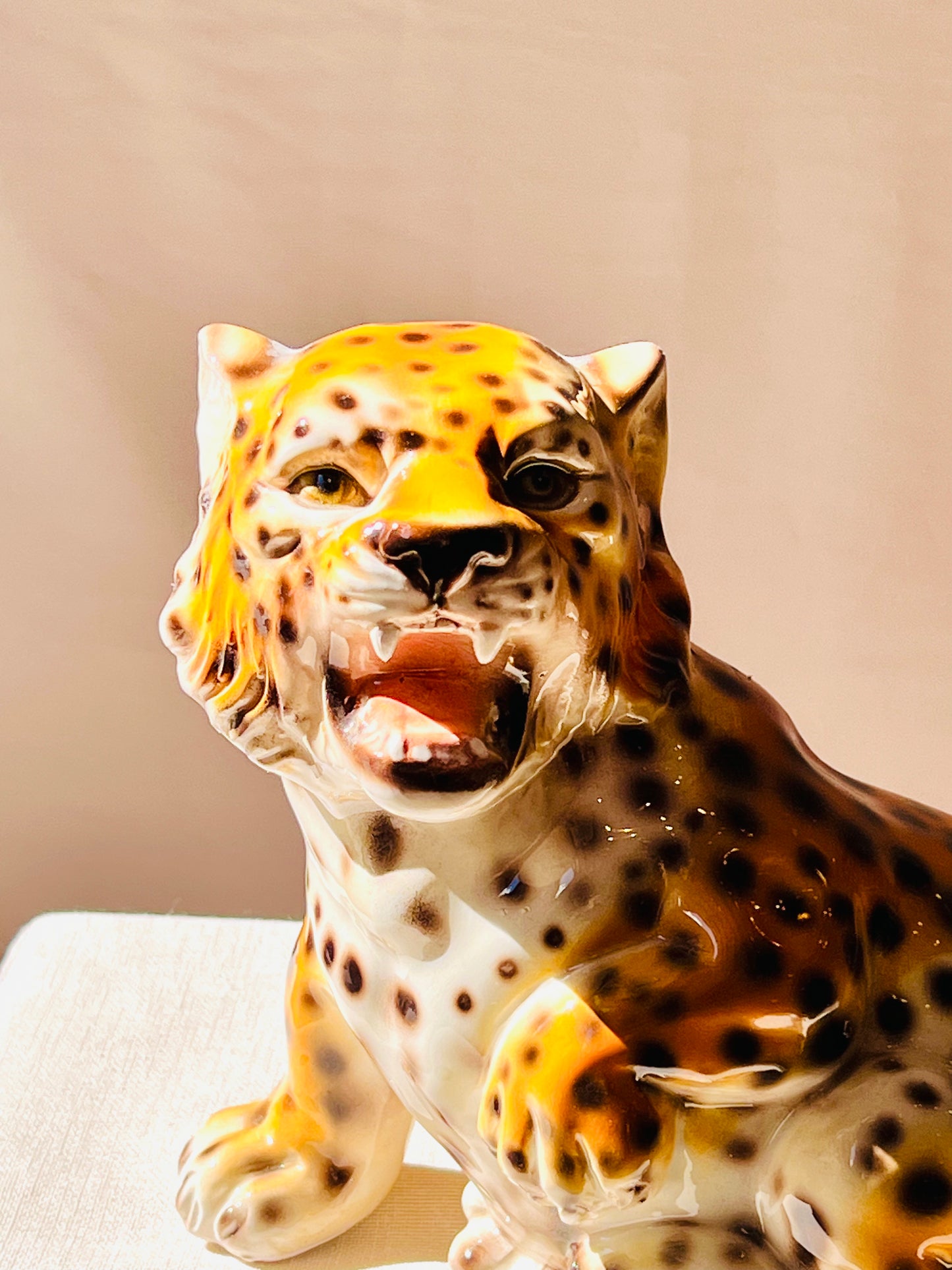 Leopardo baby rugiendo
