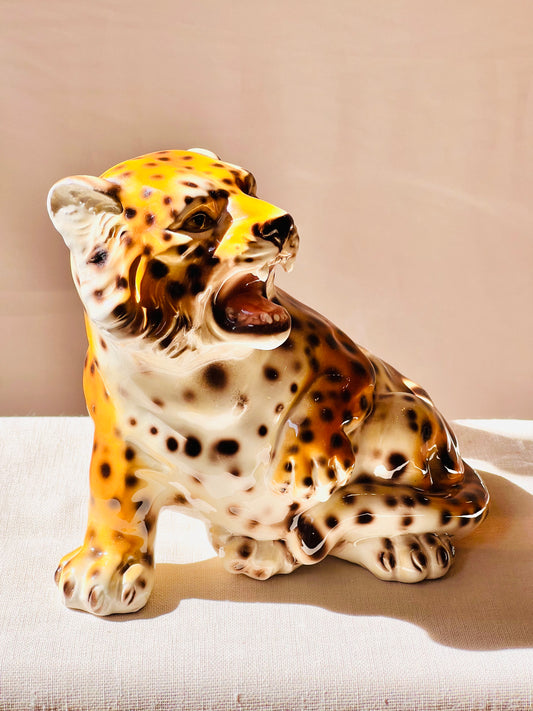 Leopardo baby rugiendo
