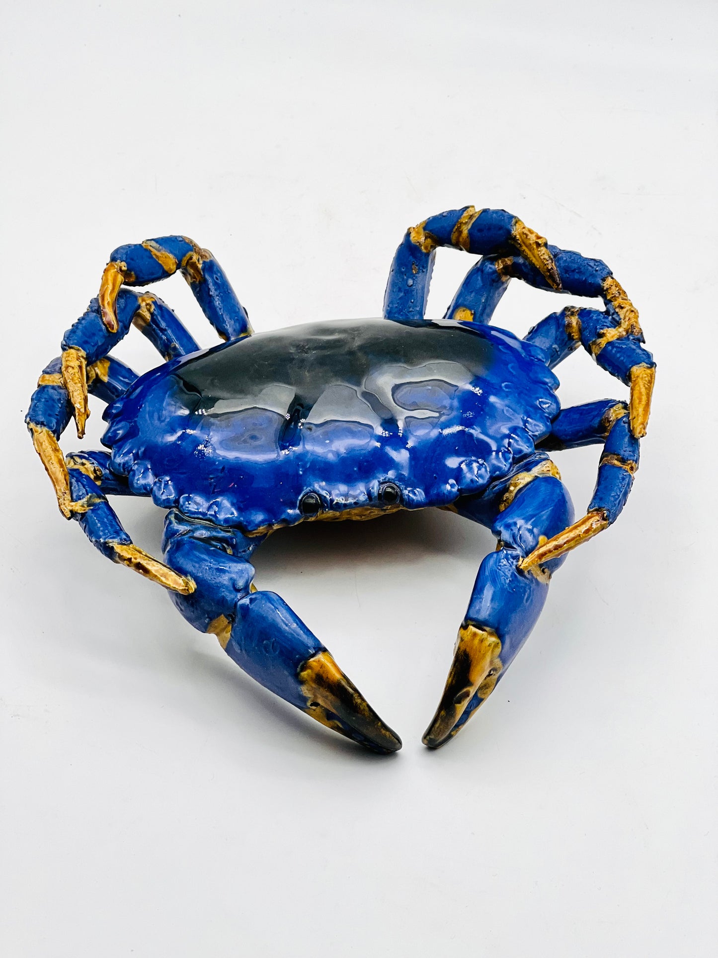 Buey de mar de cerámica hiperrealista en azul 22cm