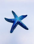 Estrella de mar azul