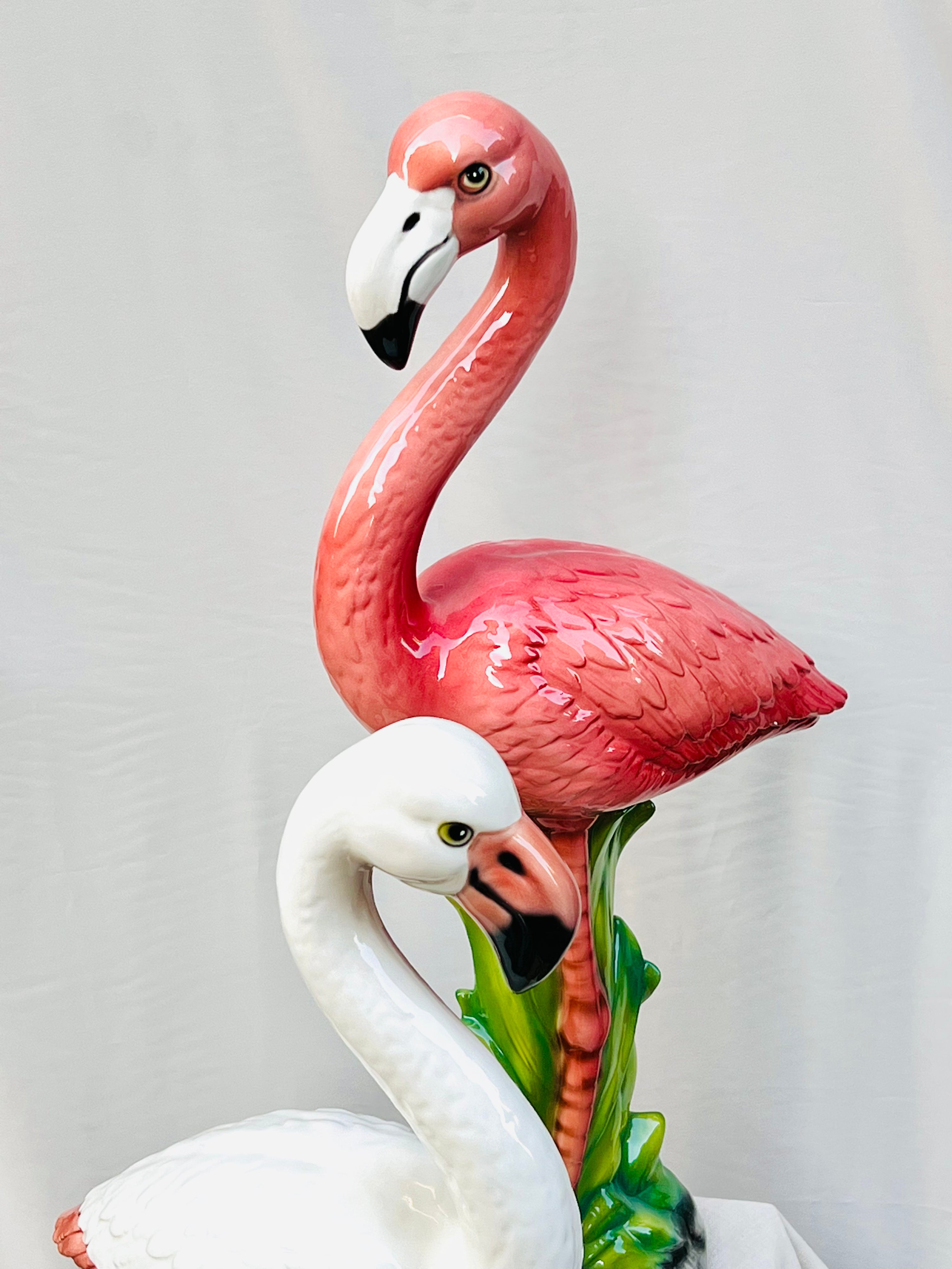 Flamenco blanco